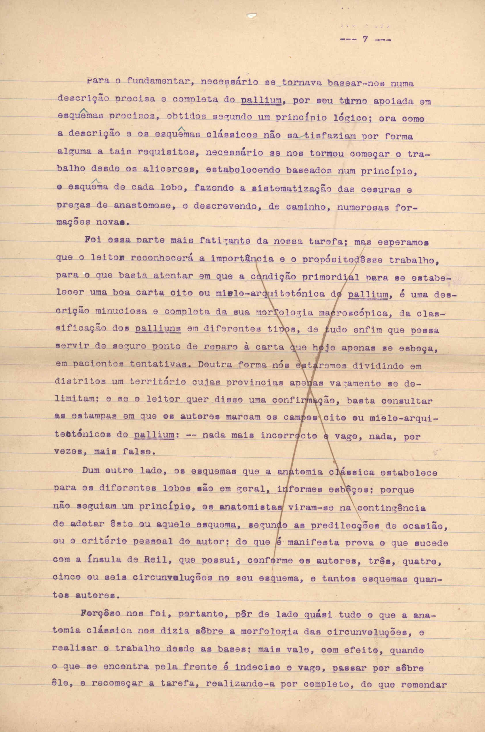 05388.007- pag.7