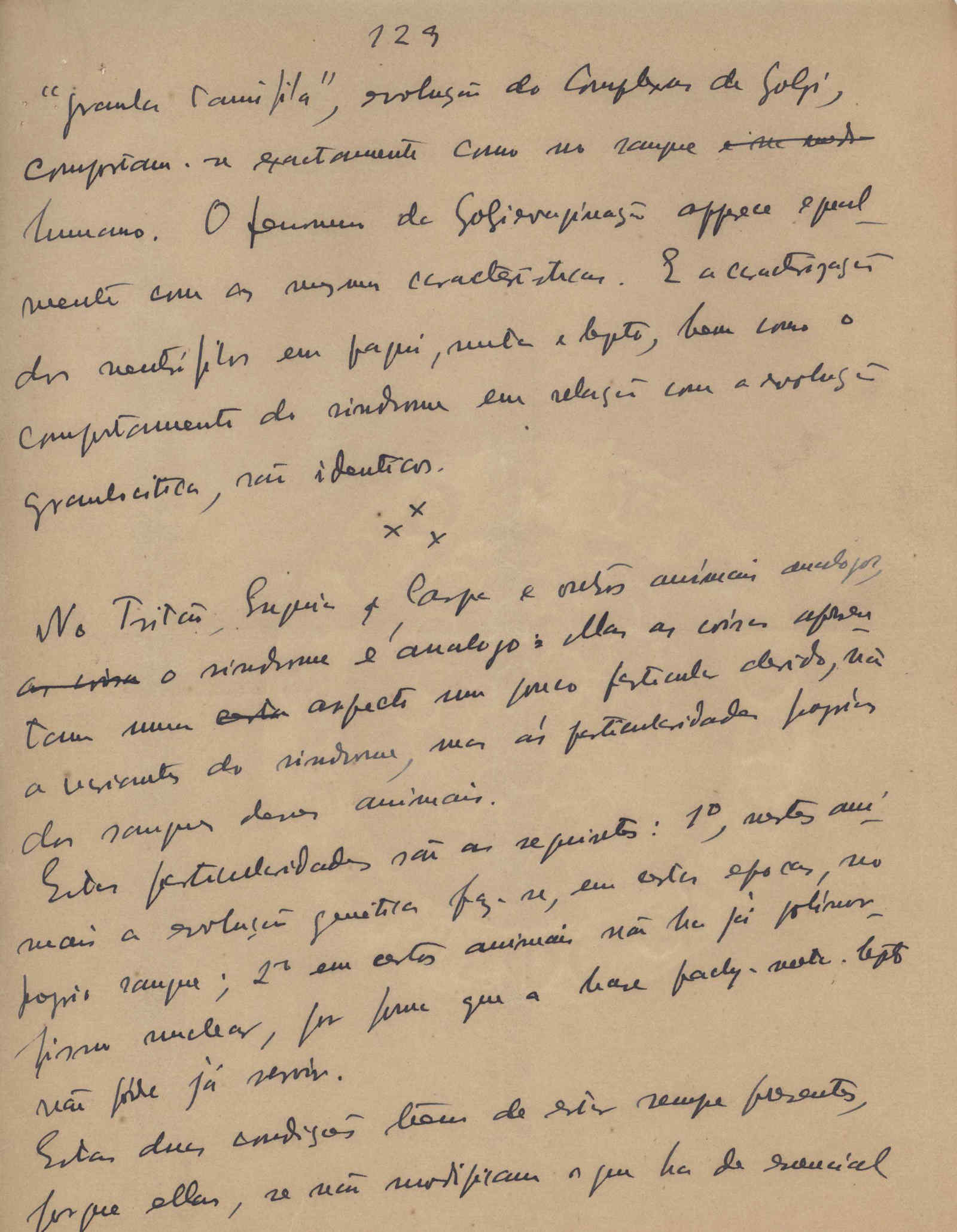 05389.007- pag.4