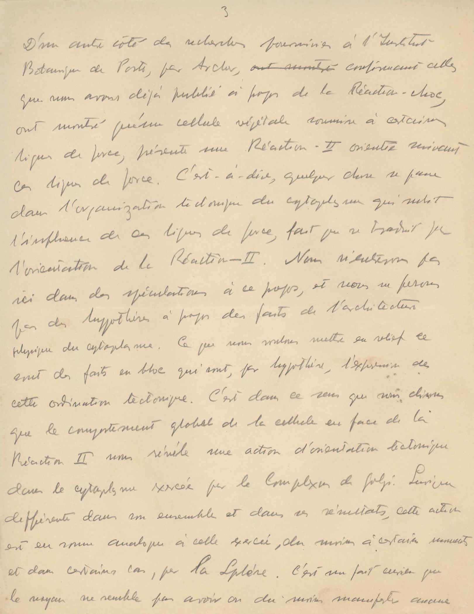 05390.021- pag.4