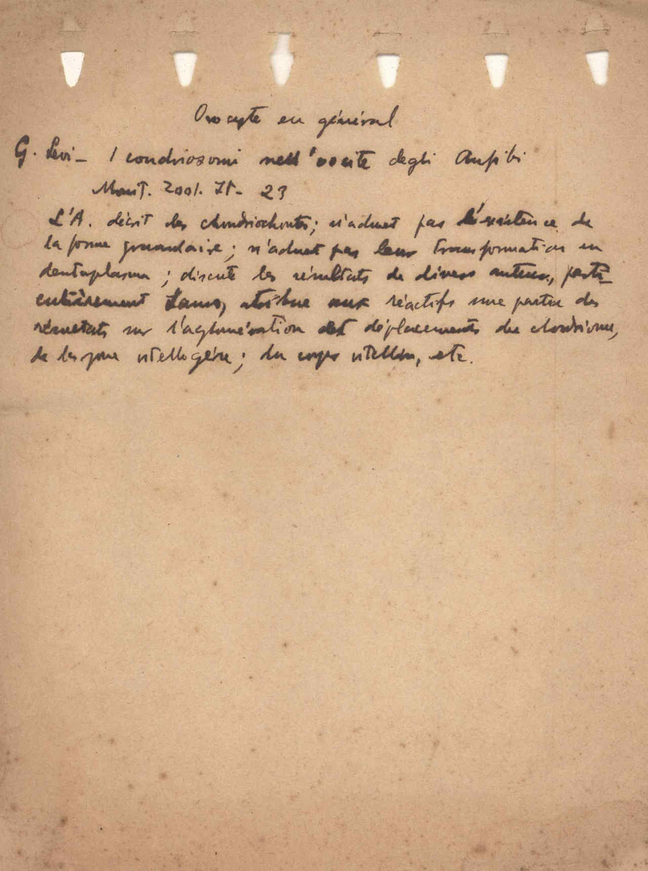 05392.053- pag.1