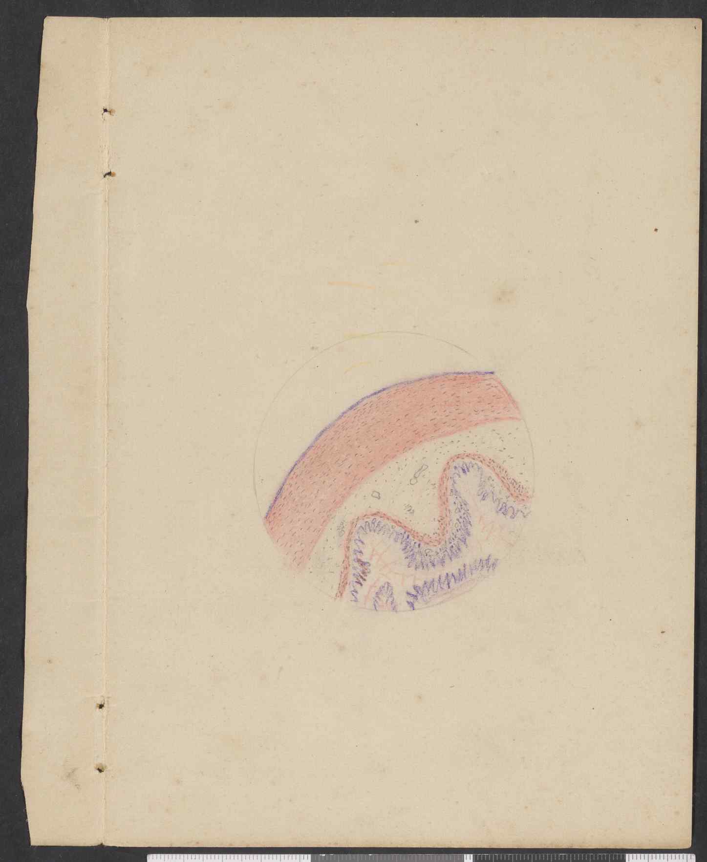 05393.011- pag.11