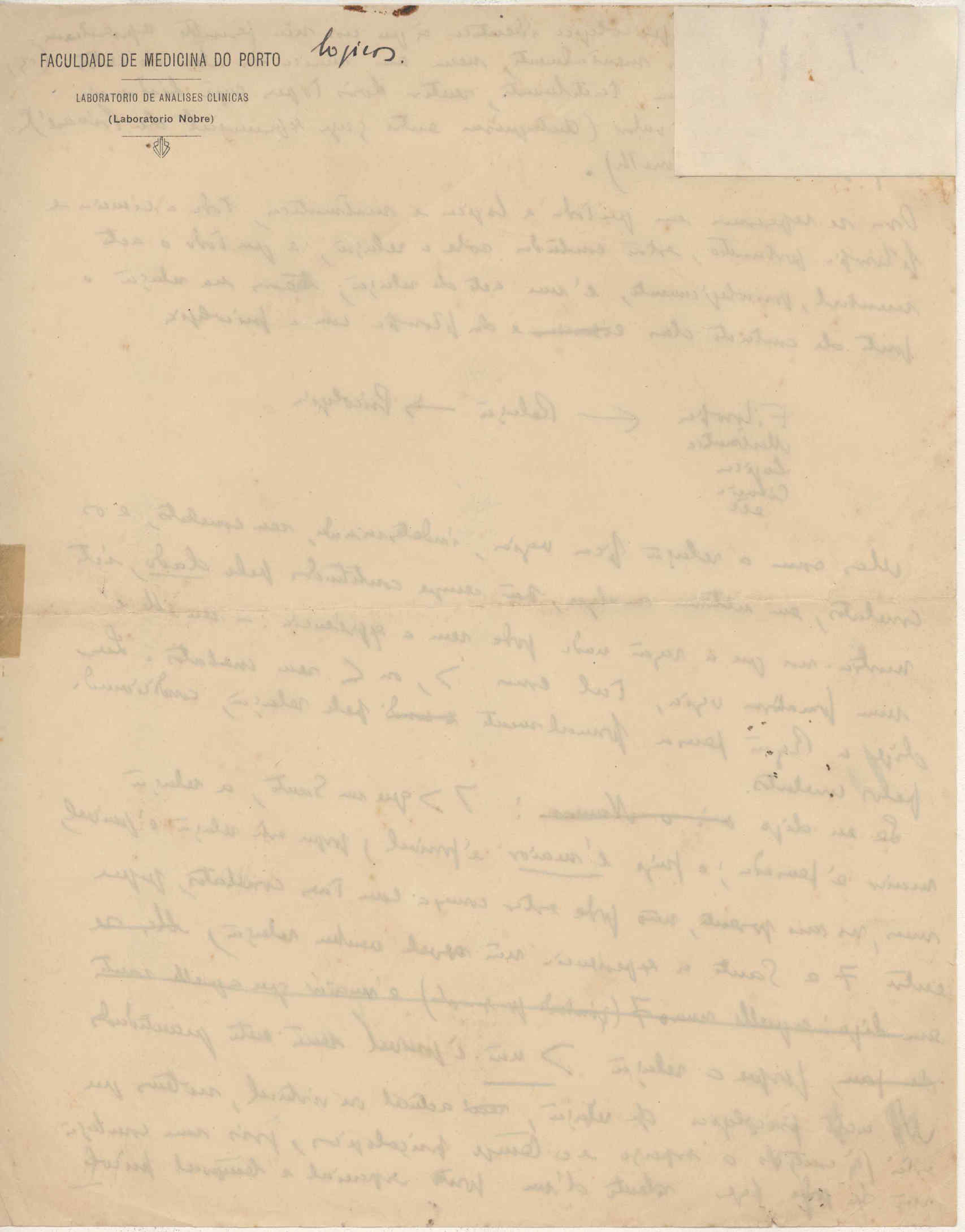 05393.016- pag.2