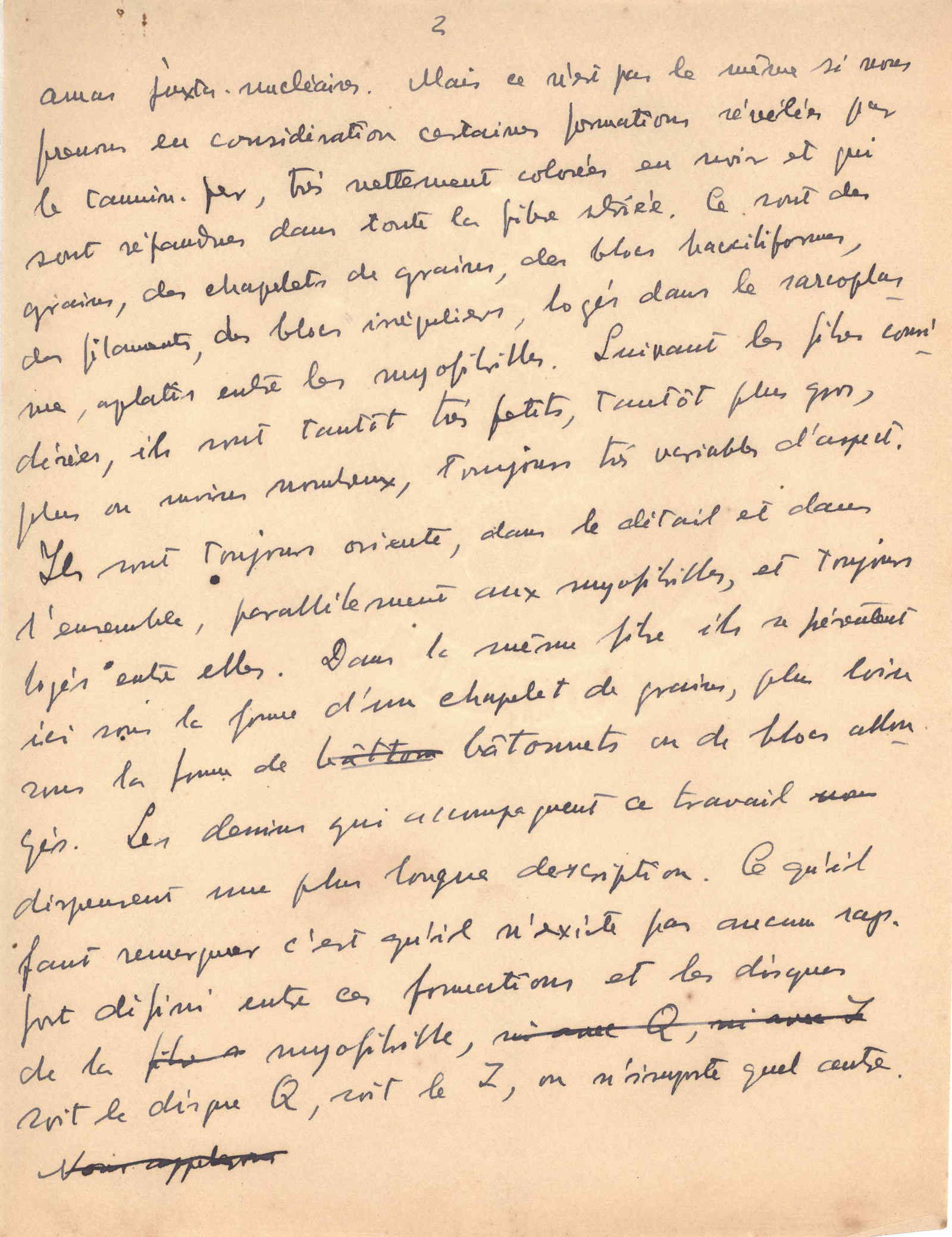 05397.017- pag.2
