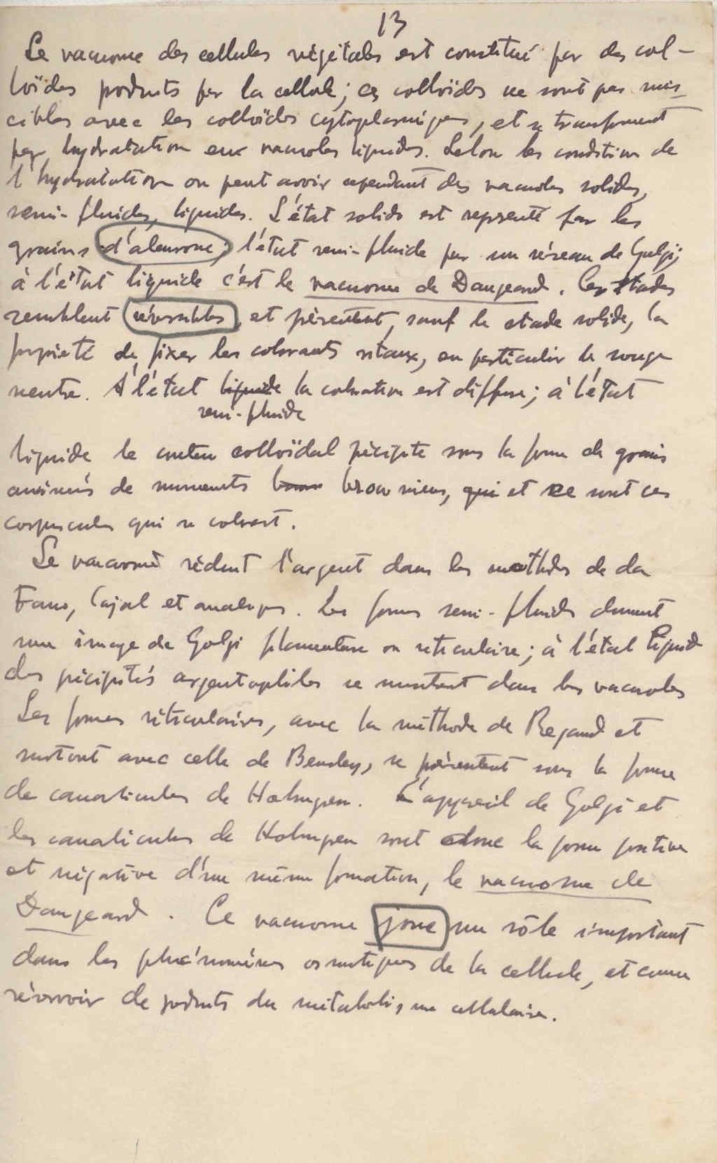 05397.029- pag.13