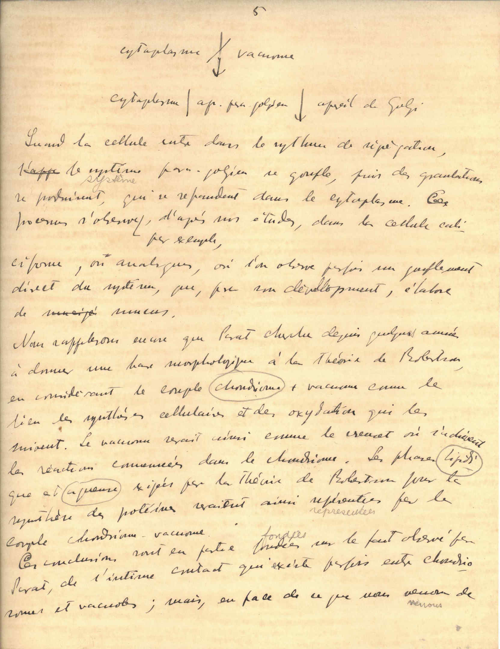 05397.044- pag.6