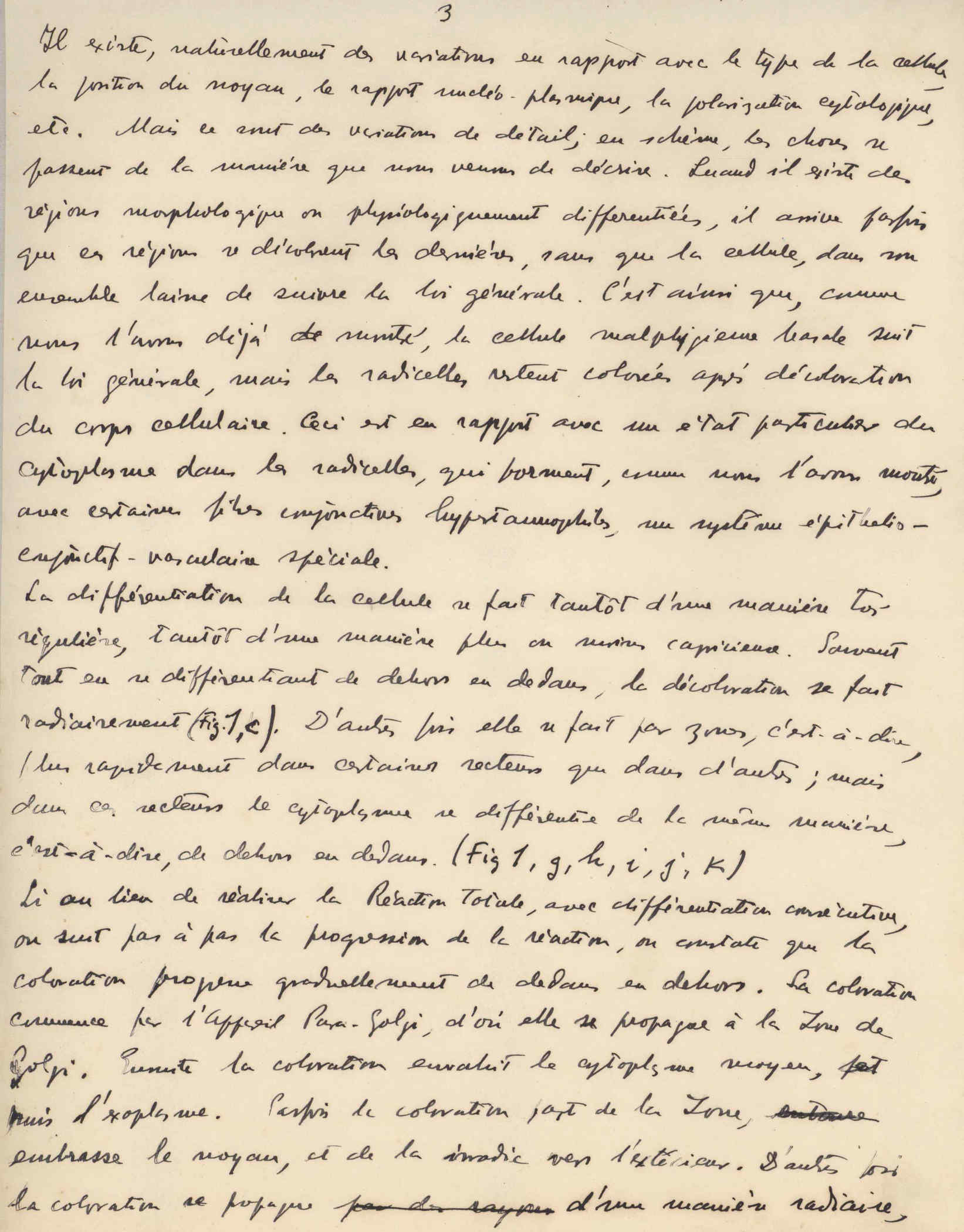 05401.011- pag.3