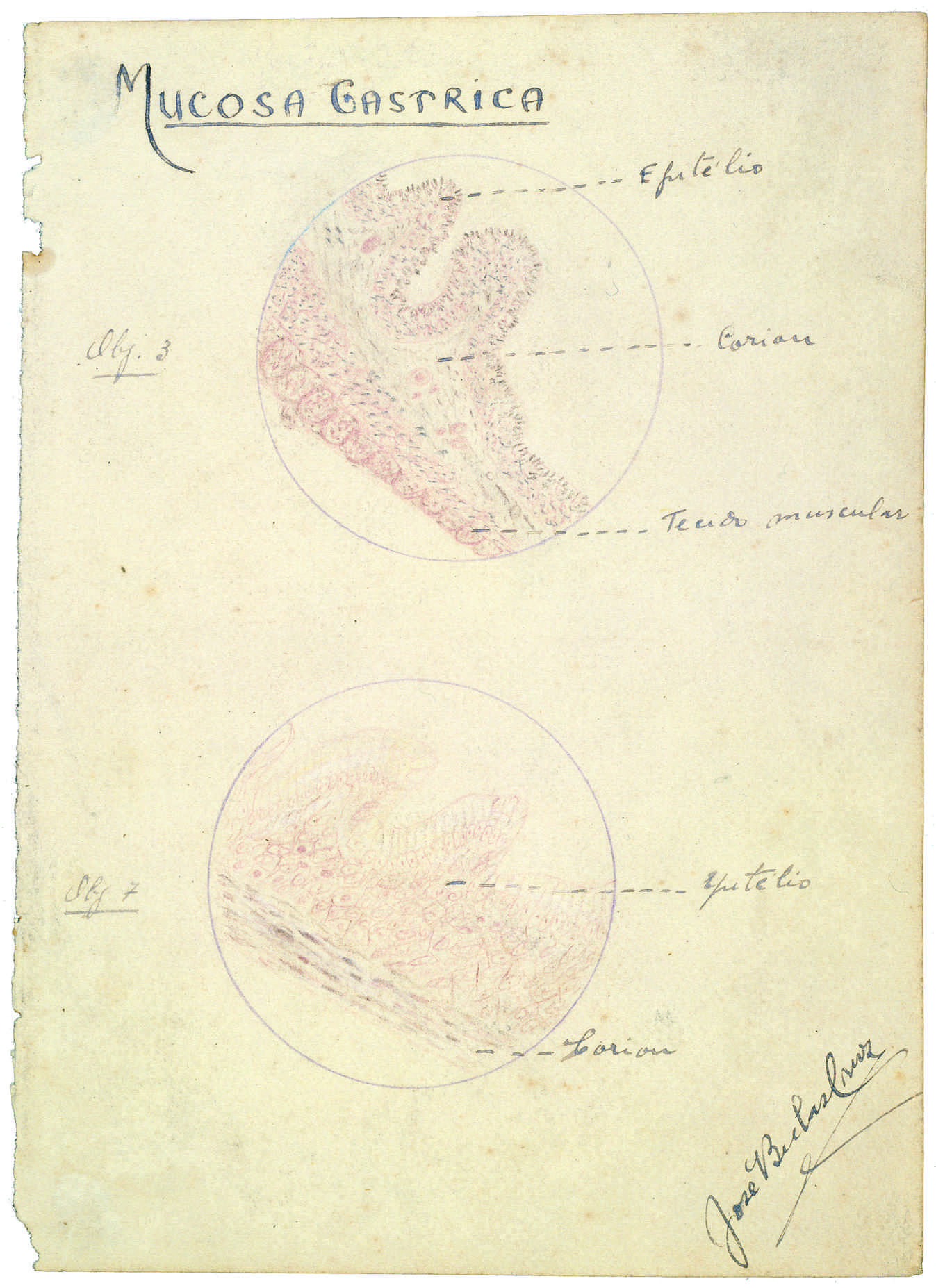 05431.097.004- pag.2