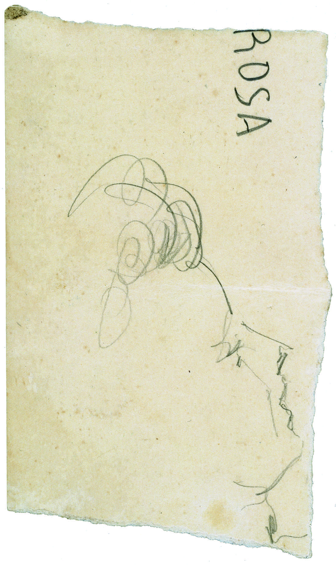 05432.099.005- pag.2