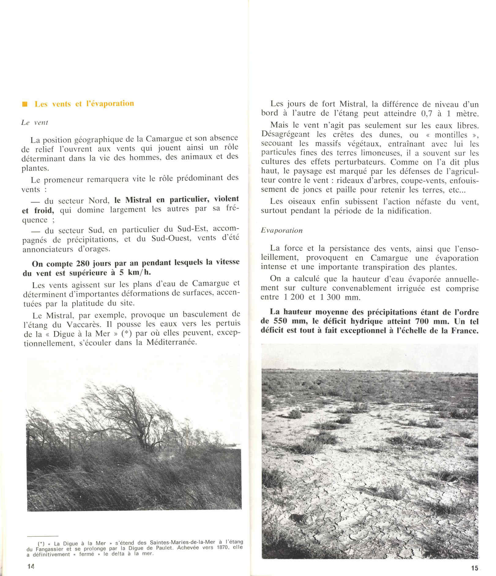 05436.006- pag.11