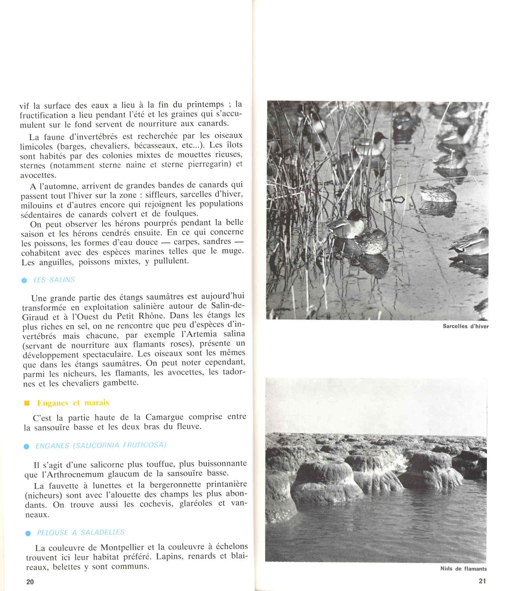 05436.006- pag.14