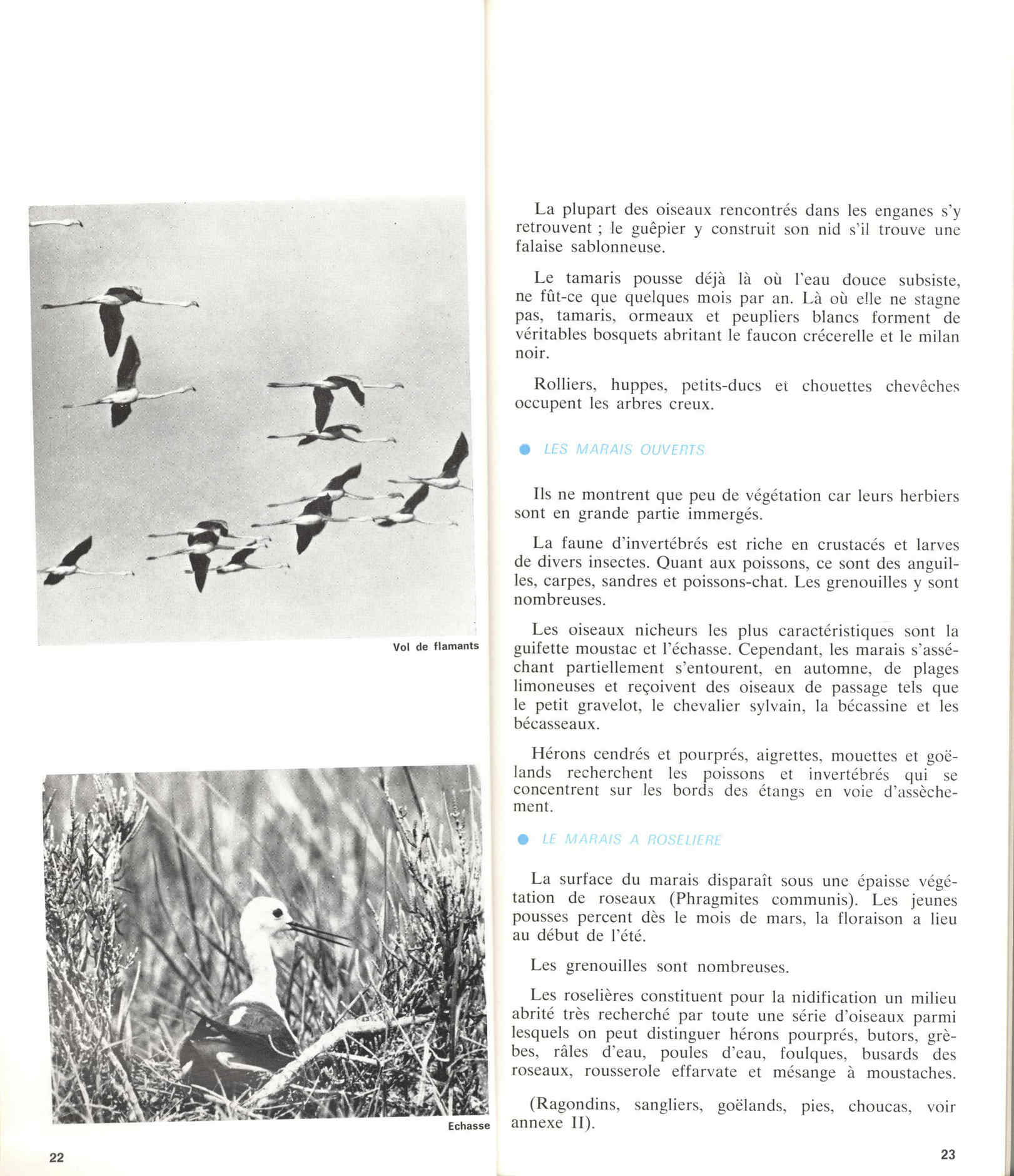05436.006- pag.15
