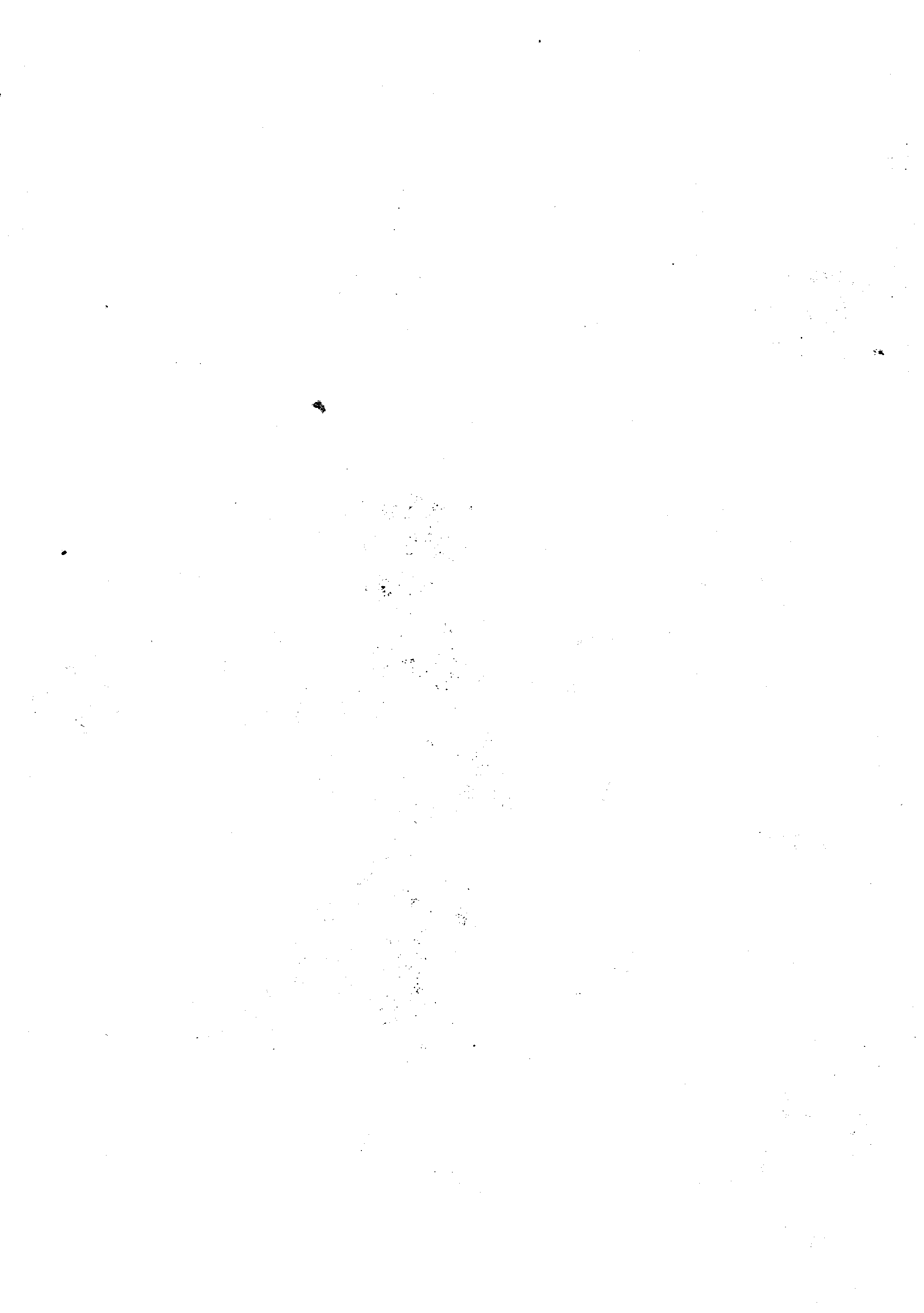 06223.031- pag.4