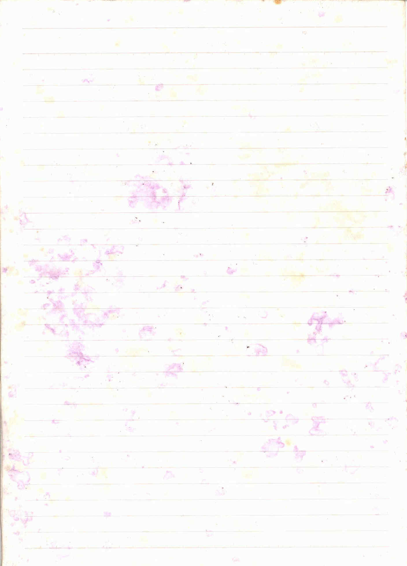 06226.031- pag.4