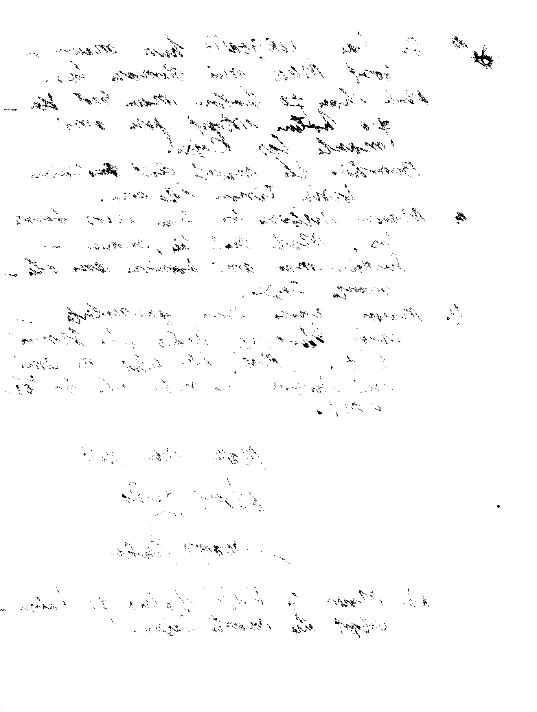 06226.092- pag.4