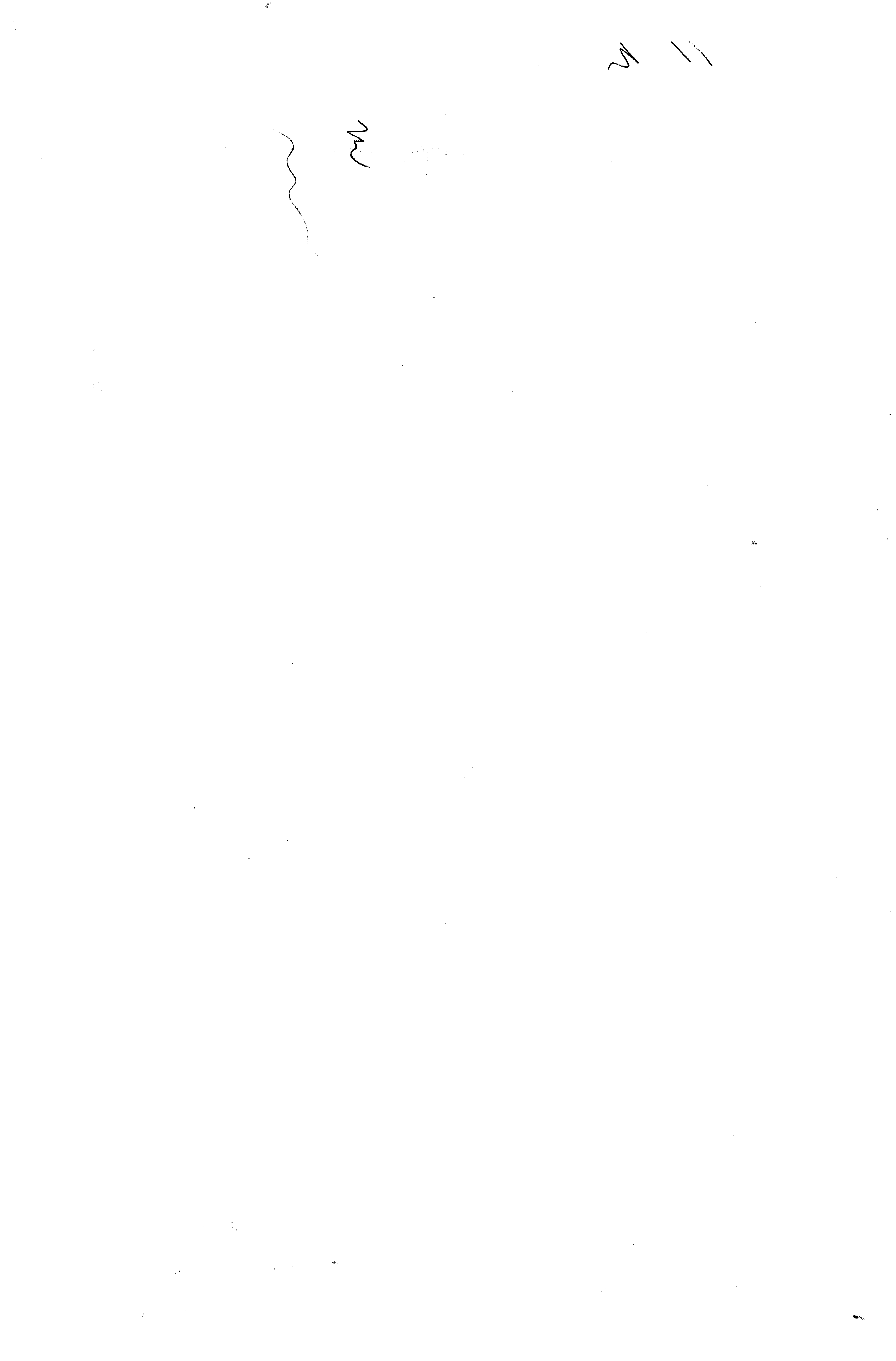 06229.075- pag.3