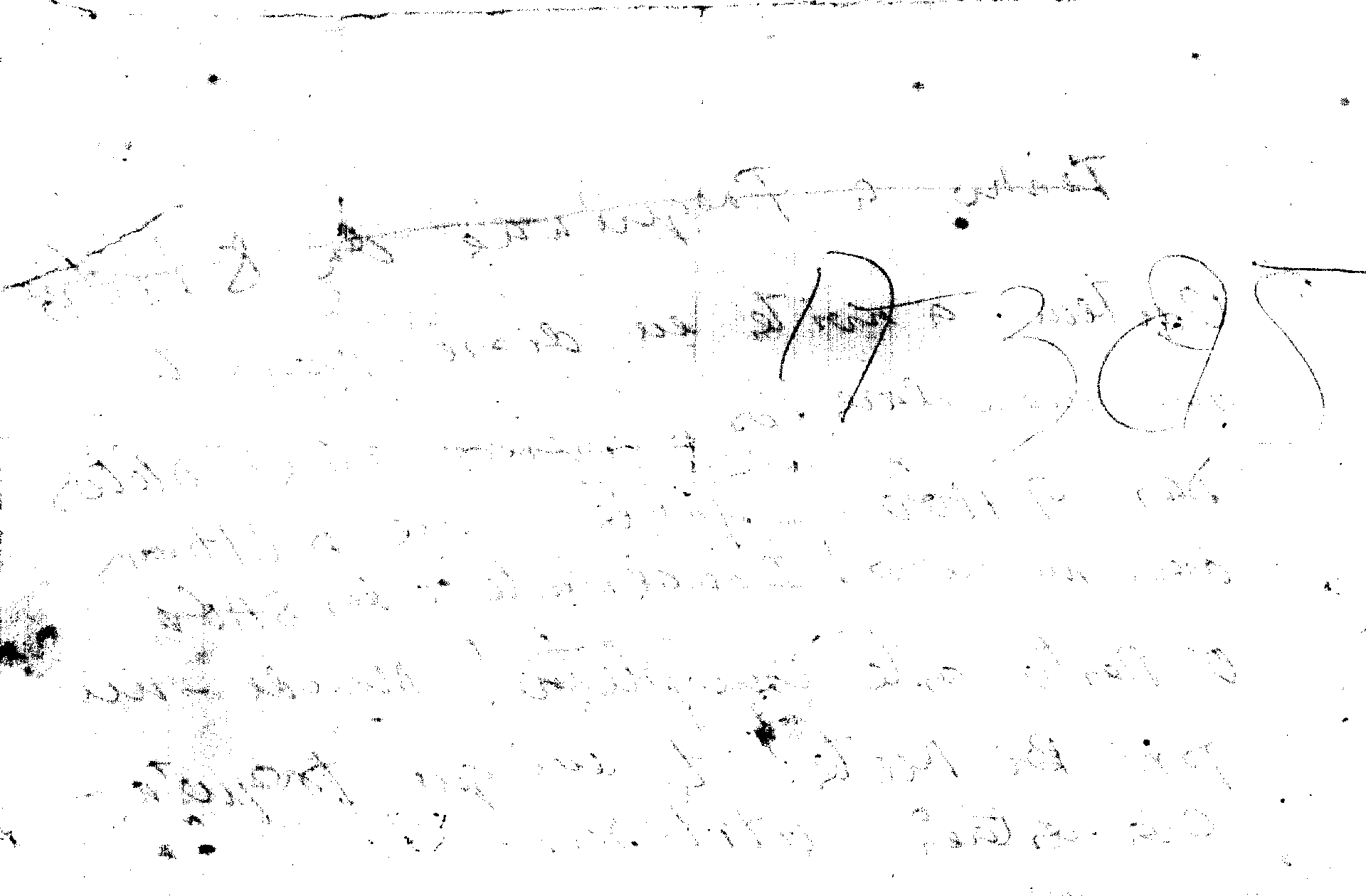 06230.117- pag.2