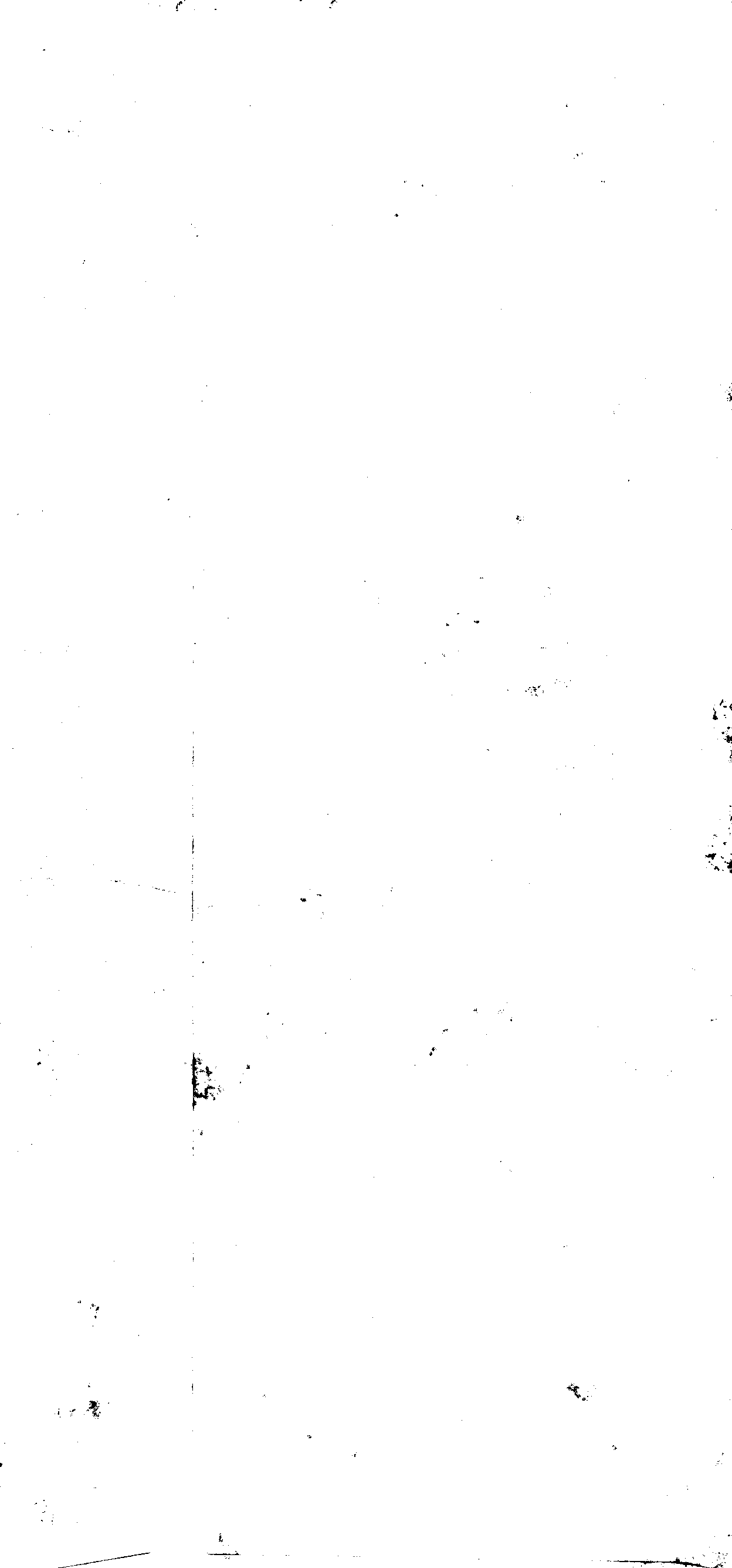 06238.131- pag.2