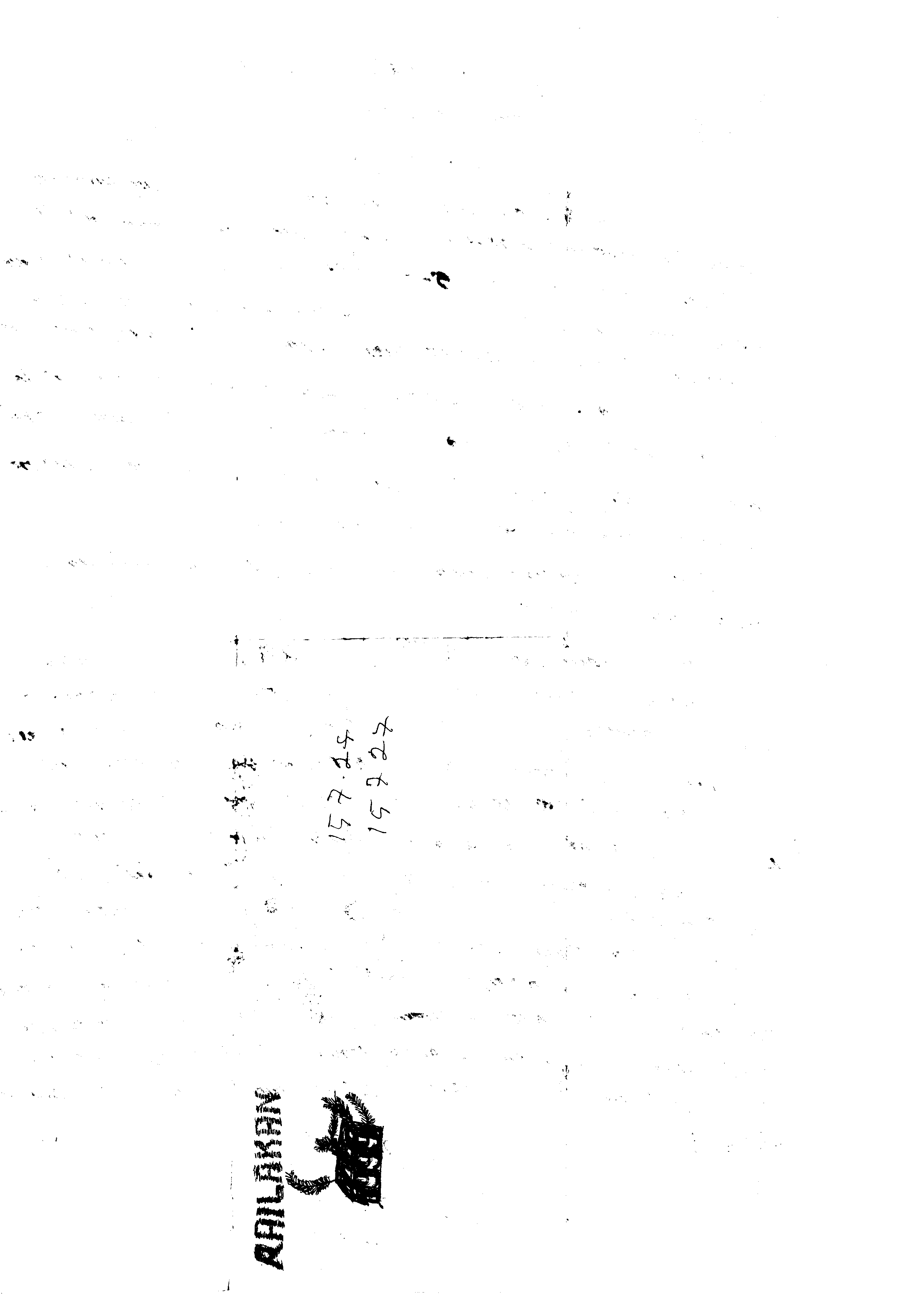 06239.002- pag.2