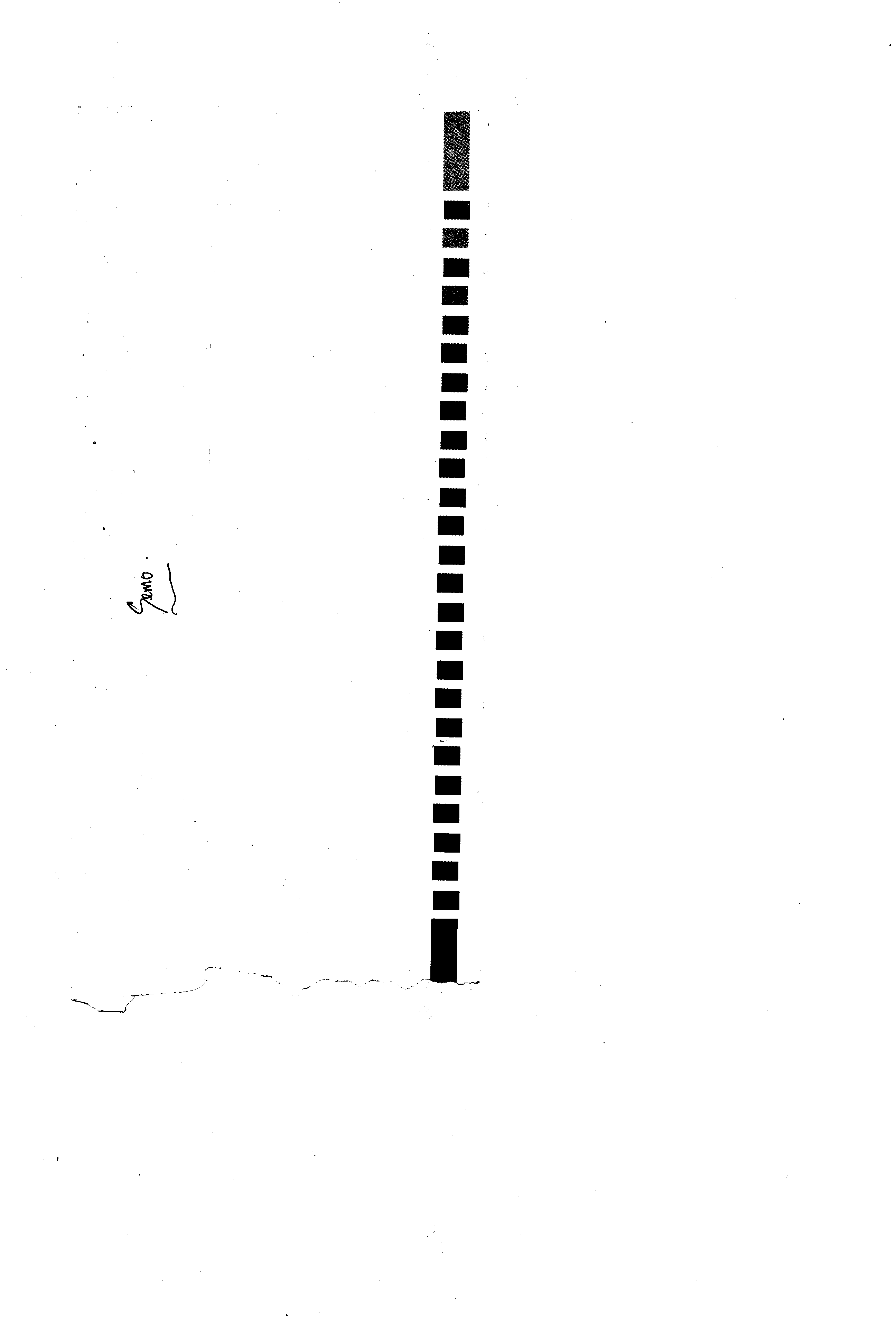 06242.005- pag.2