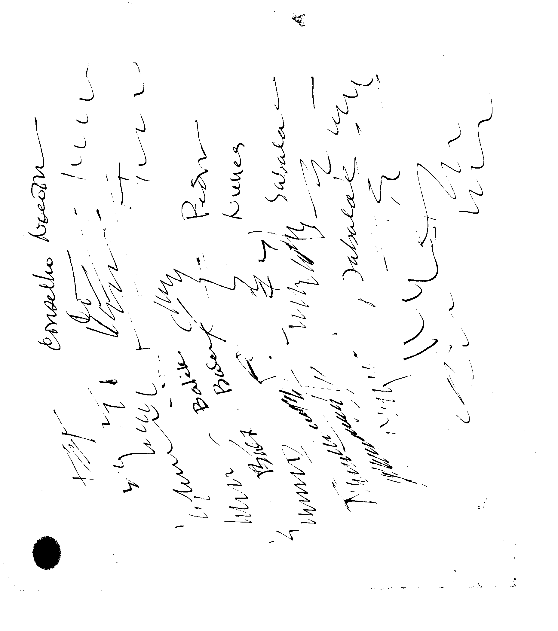 06243.017- pag.2