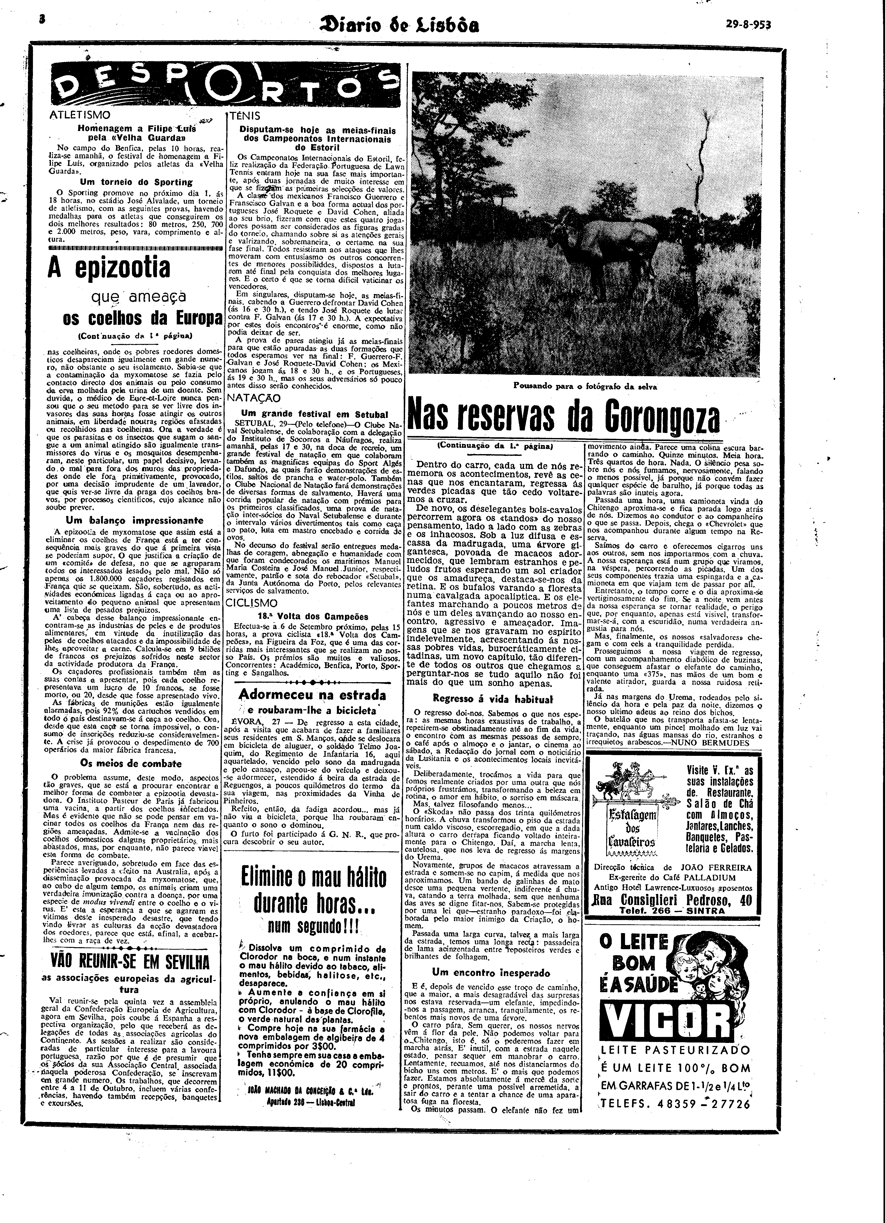 06337.058.13795- pag.3