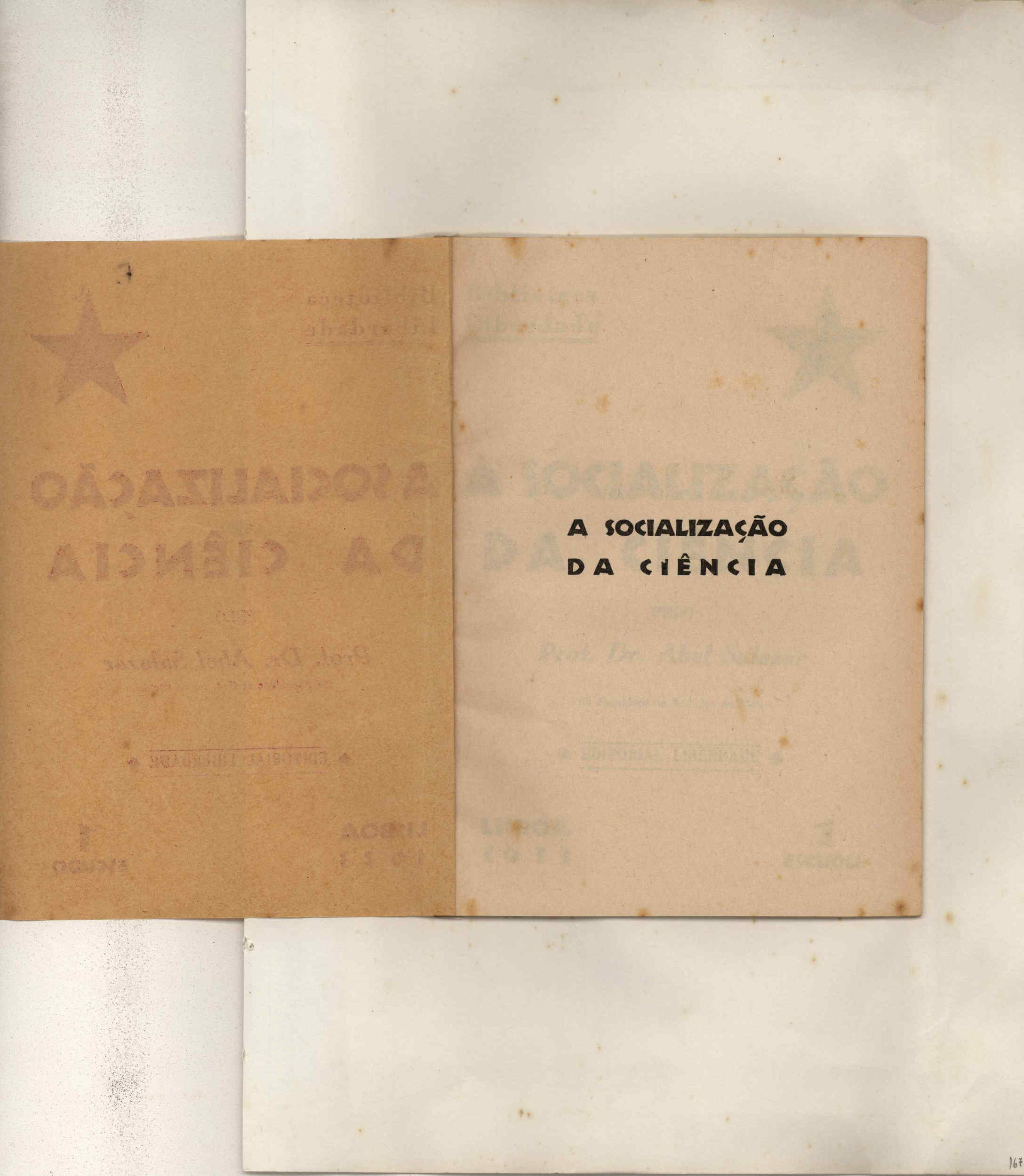06355.001- pag.262