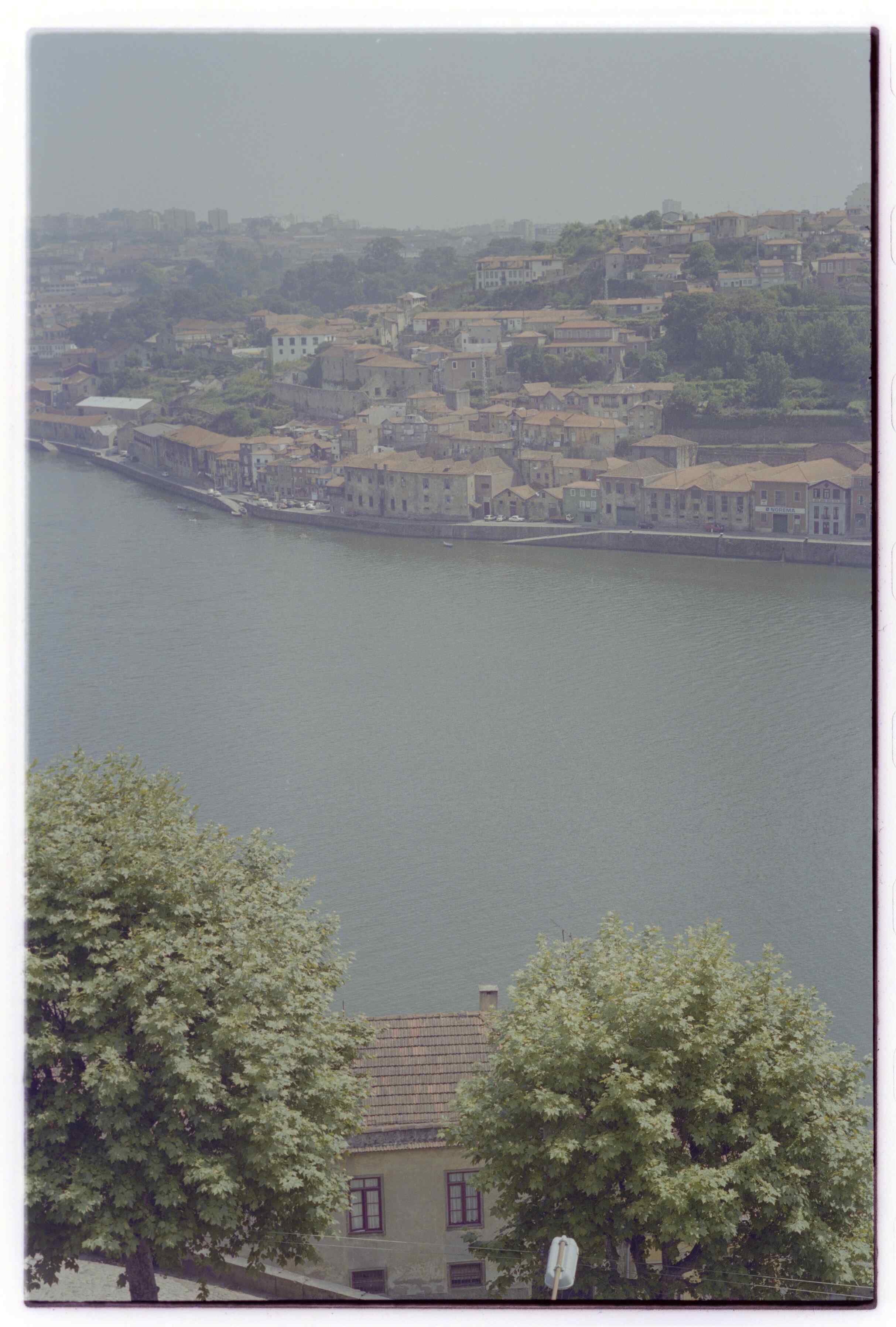 06419.077.038- pag.1