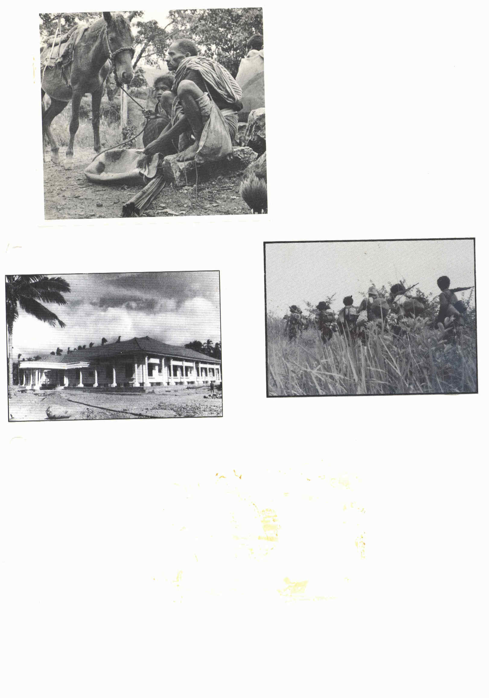 06459.012- pag.2