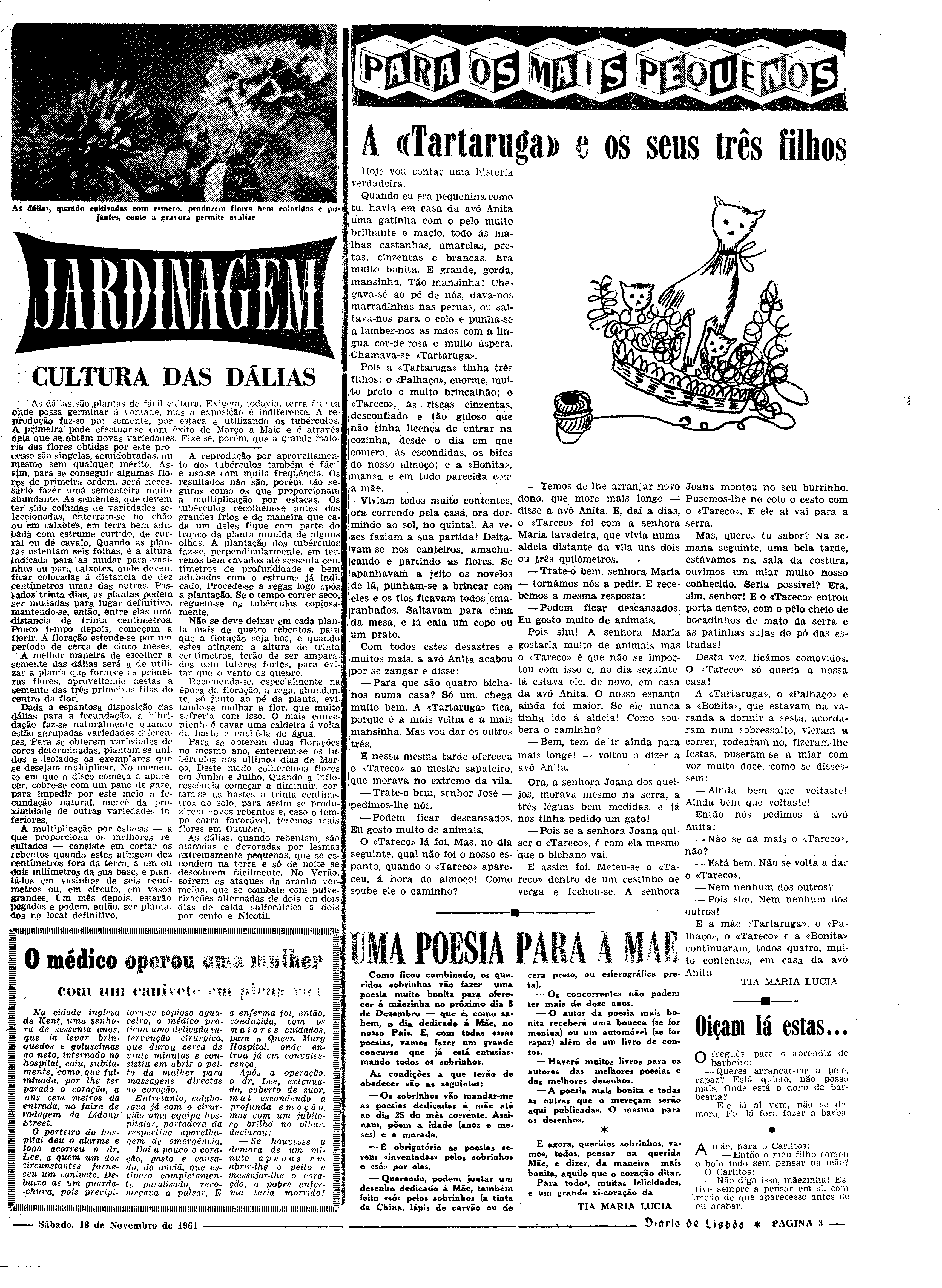 06544.082.17544- pag.19