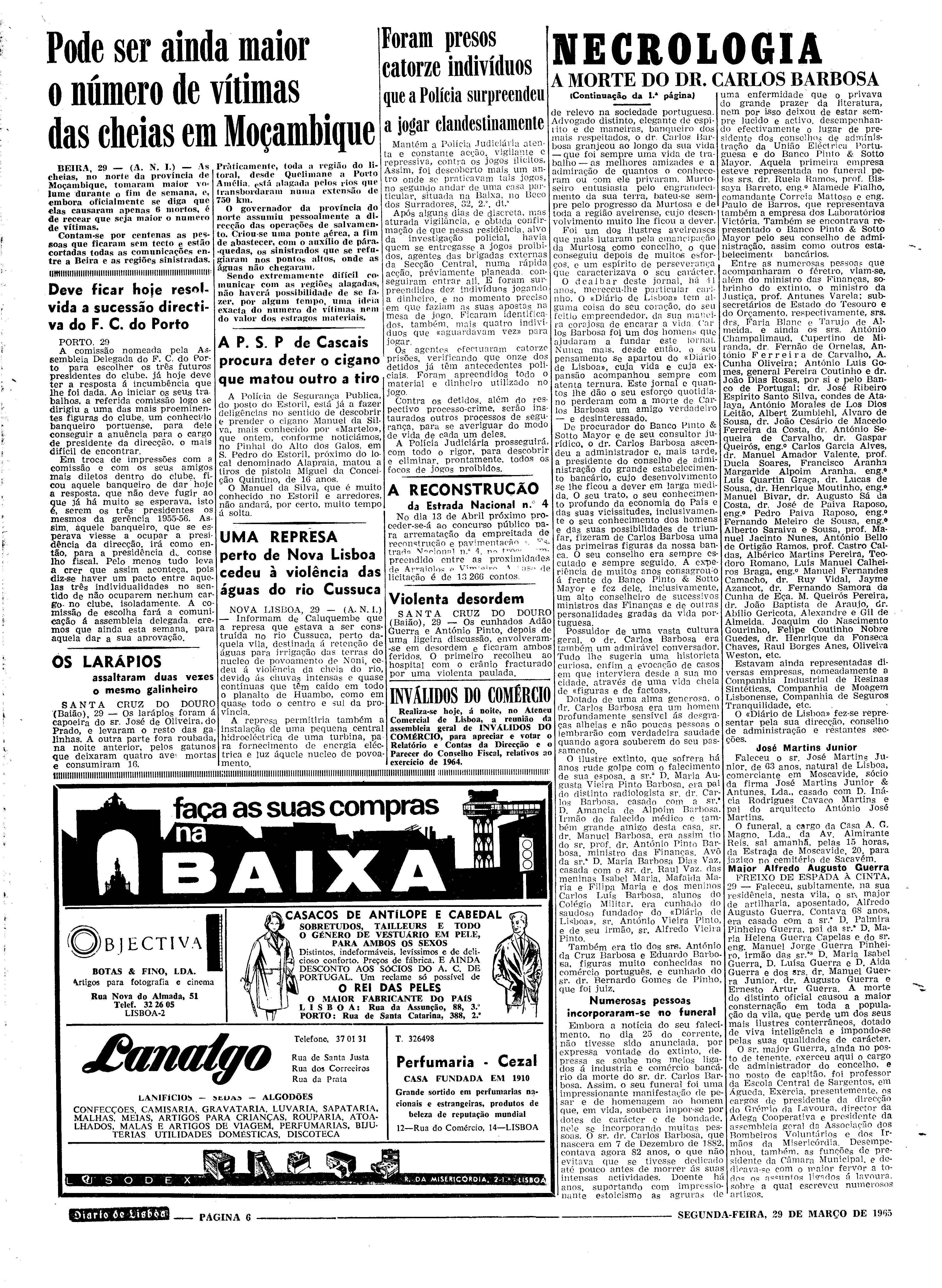 06558.096.19460- pag.6