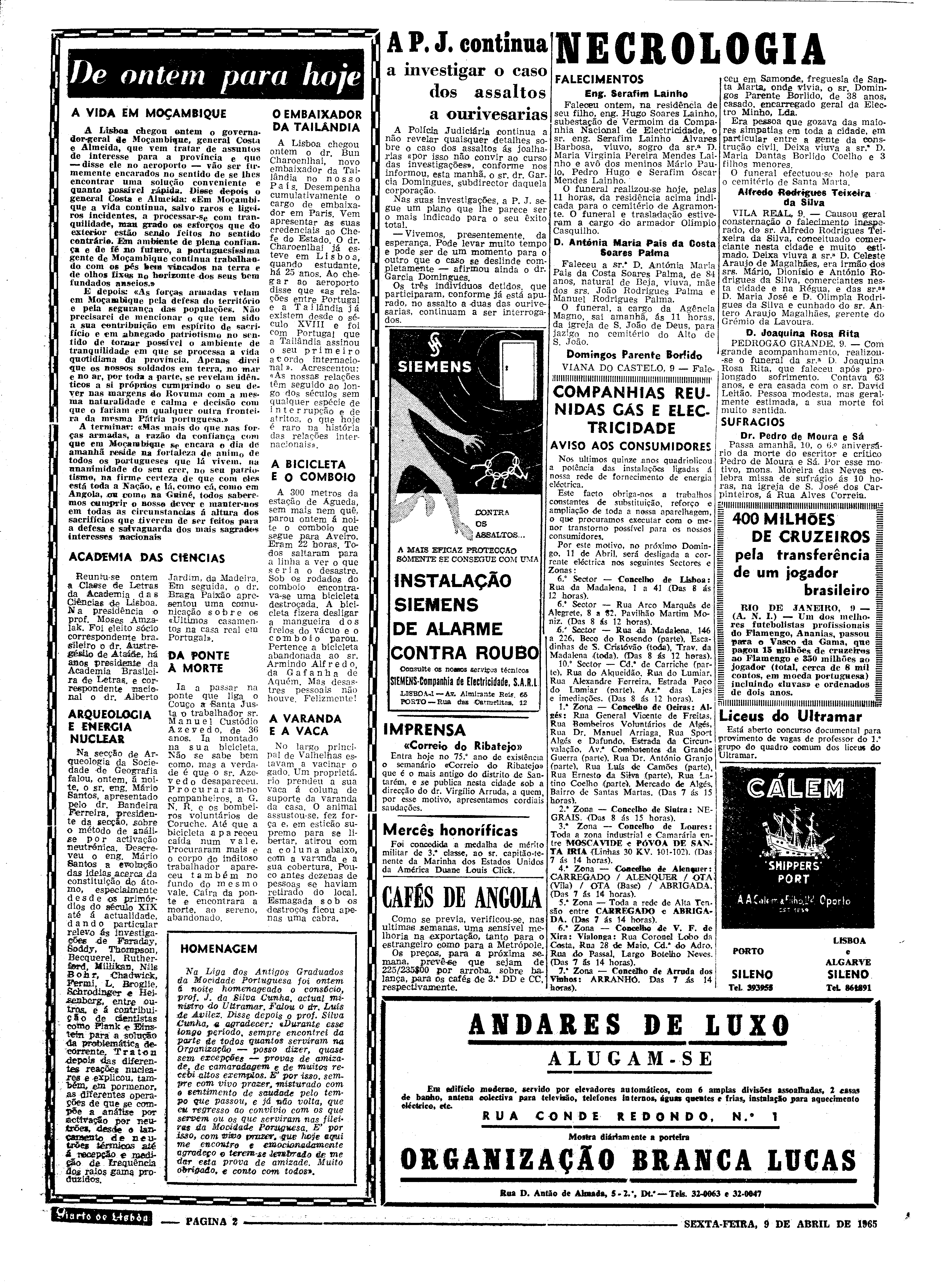 06559.097.19484- pag.2