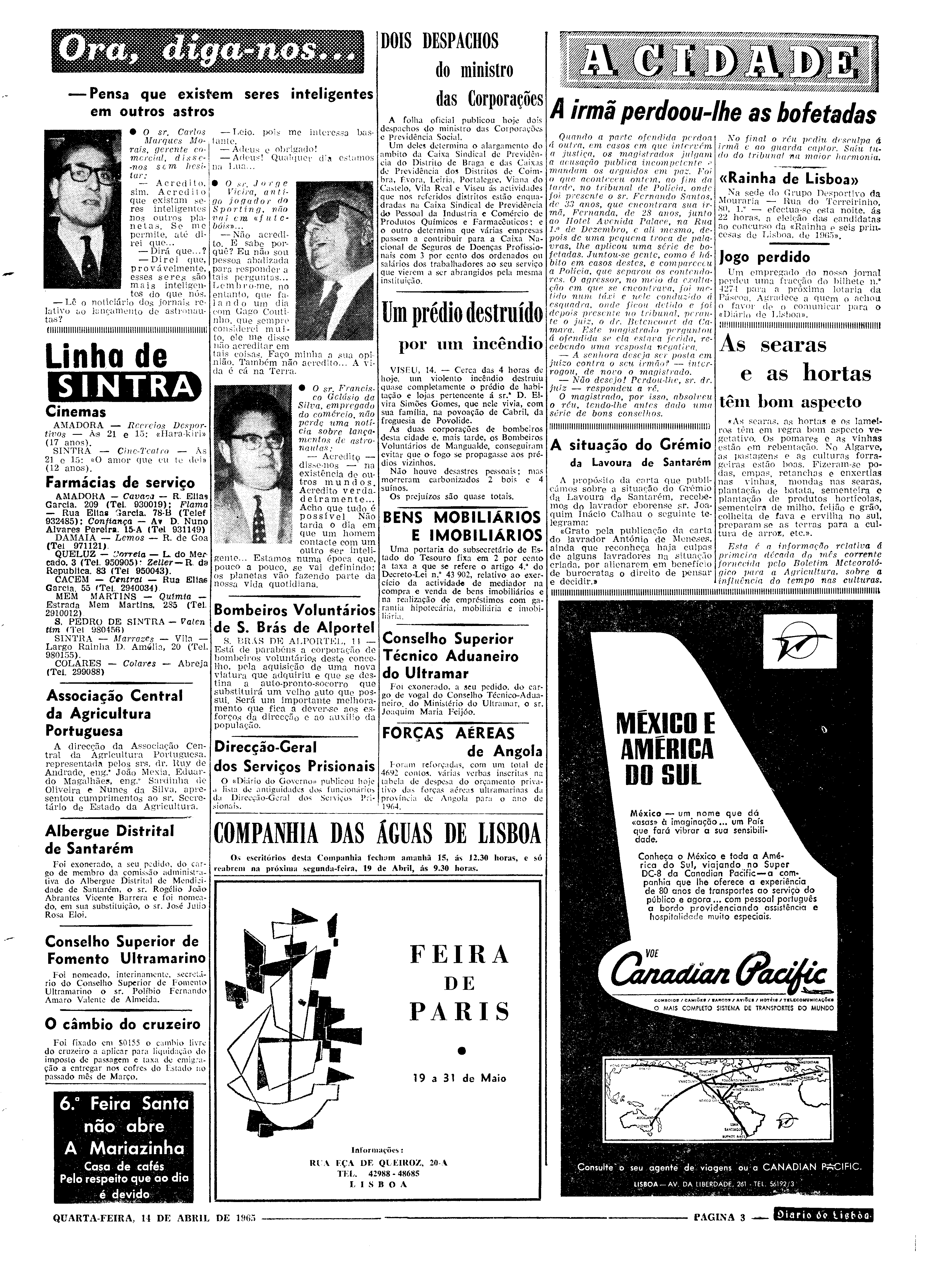 06559.097.19495- pag.3