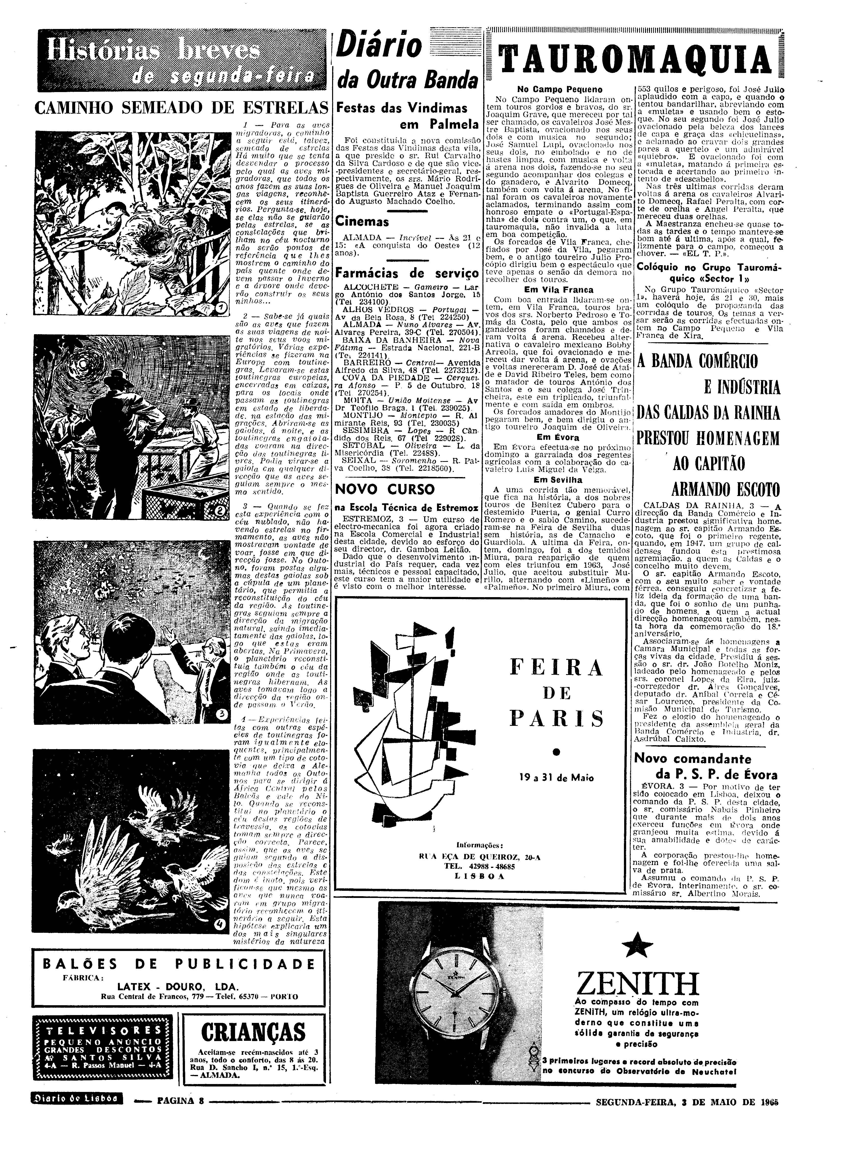 06559.097.19533- pag.8
