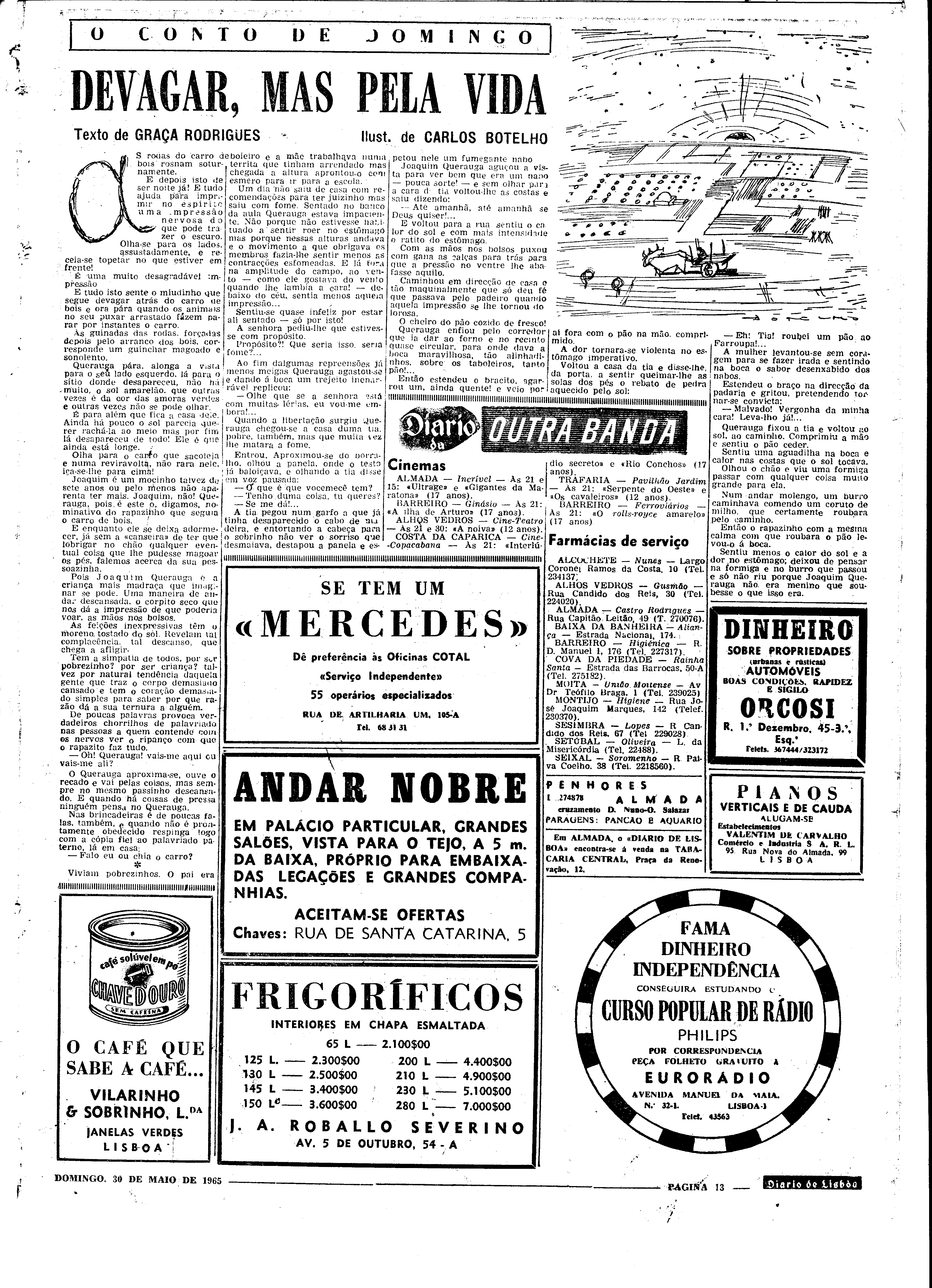 06560.098.19595- pag.13