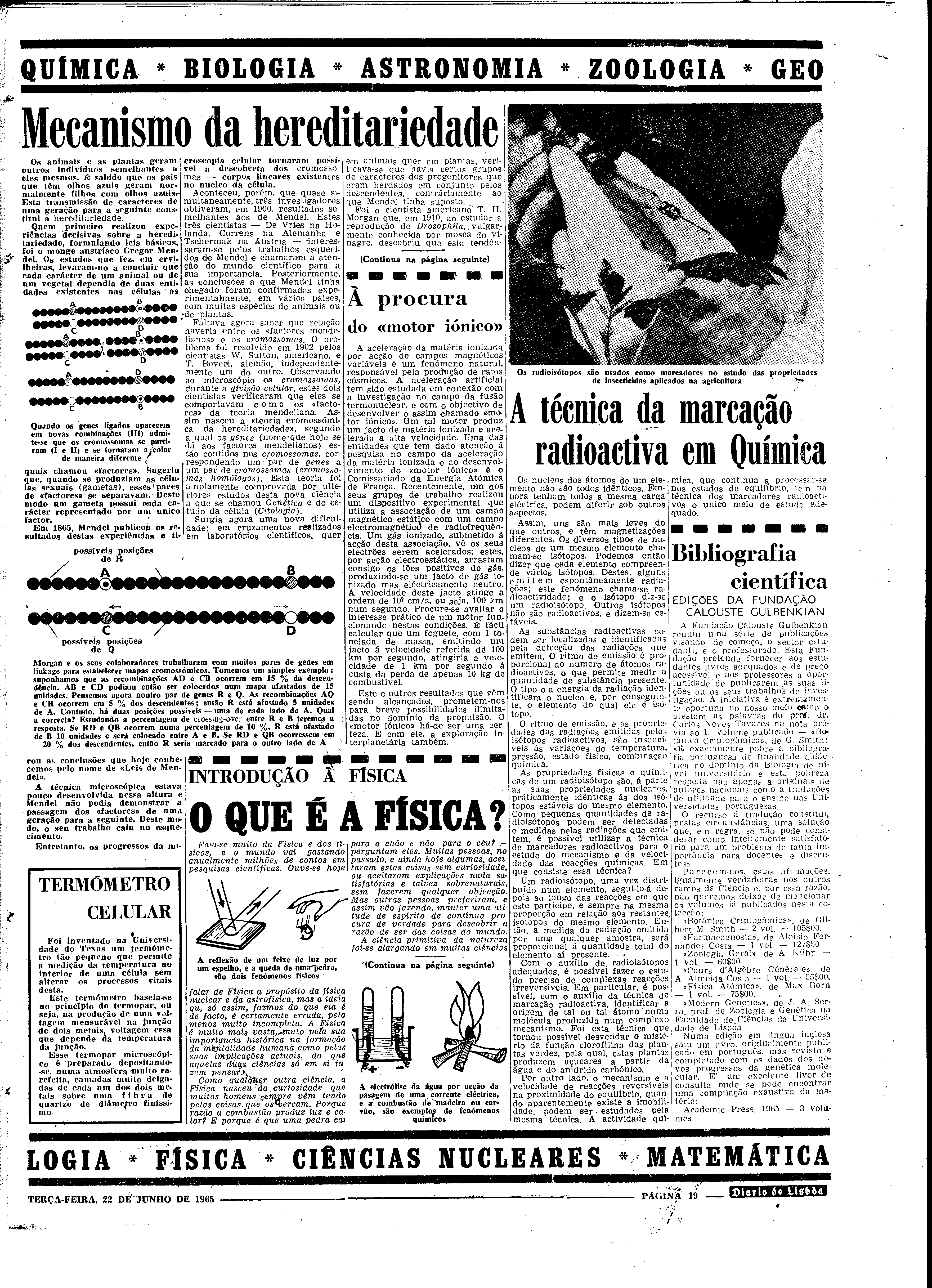 06560.098.19644- pag.19