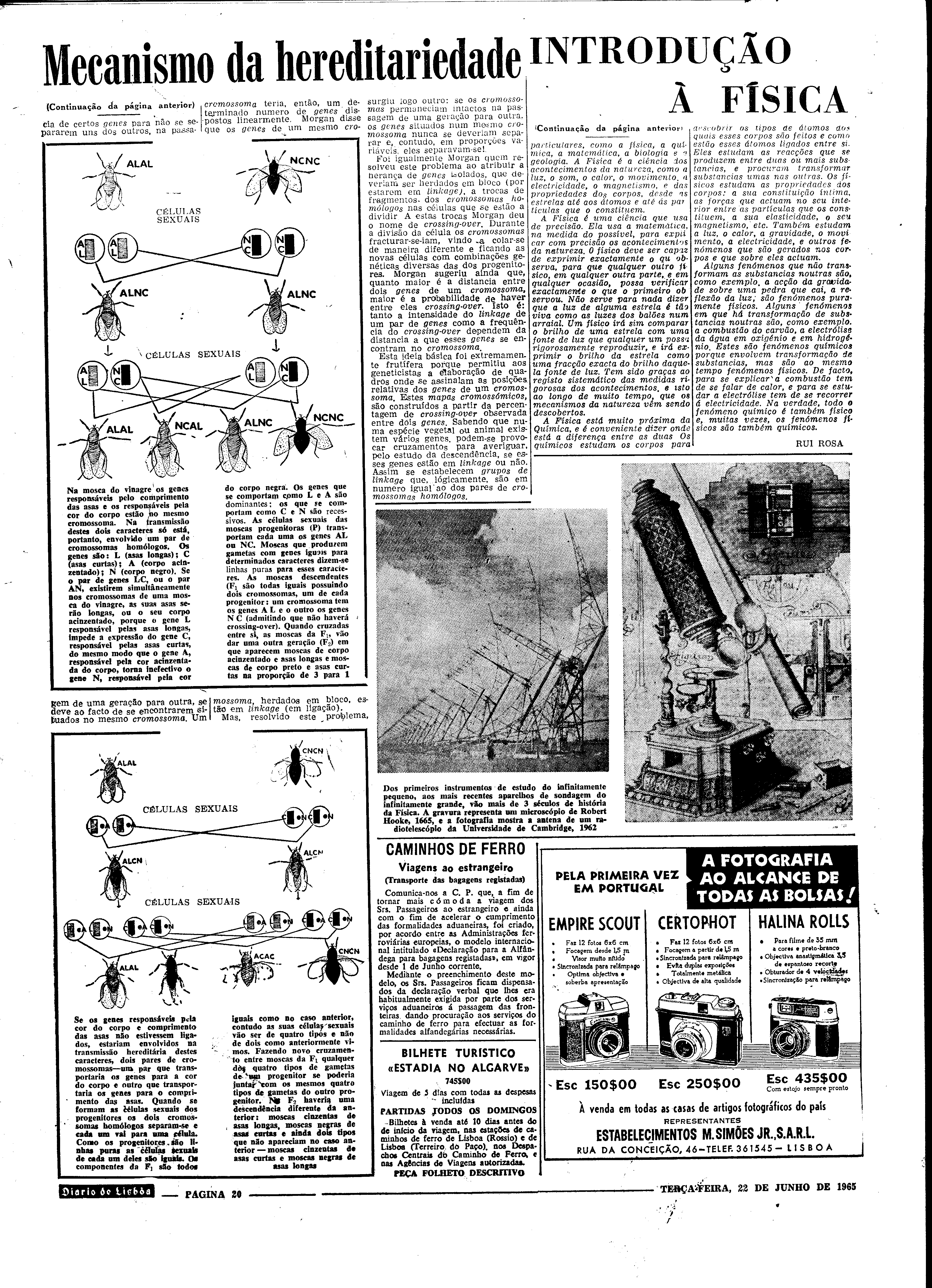 06560.098.19644- pag.20