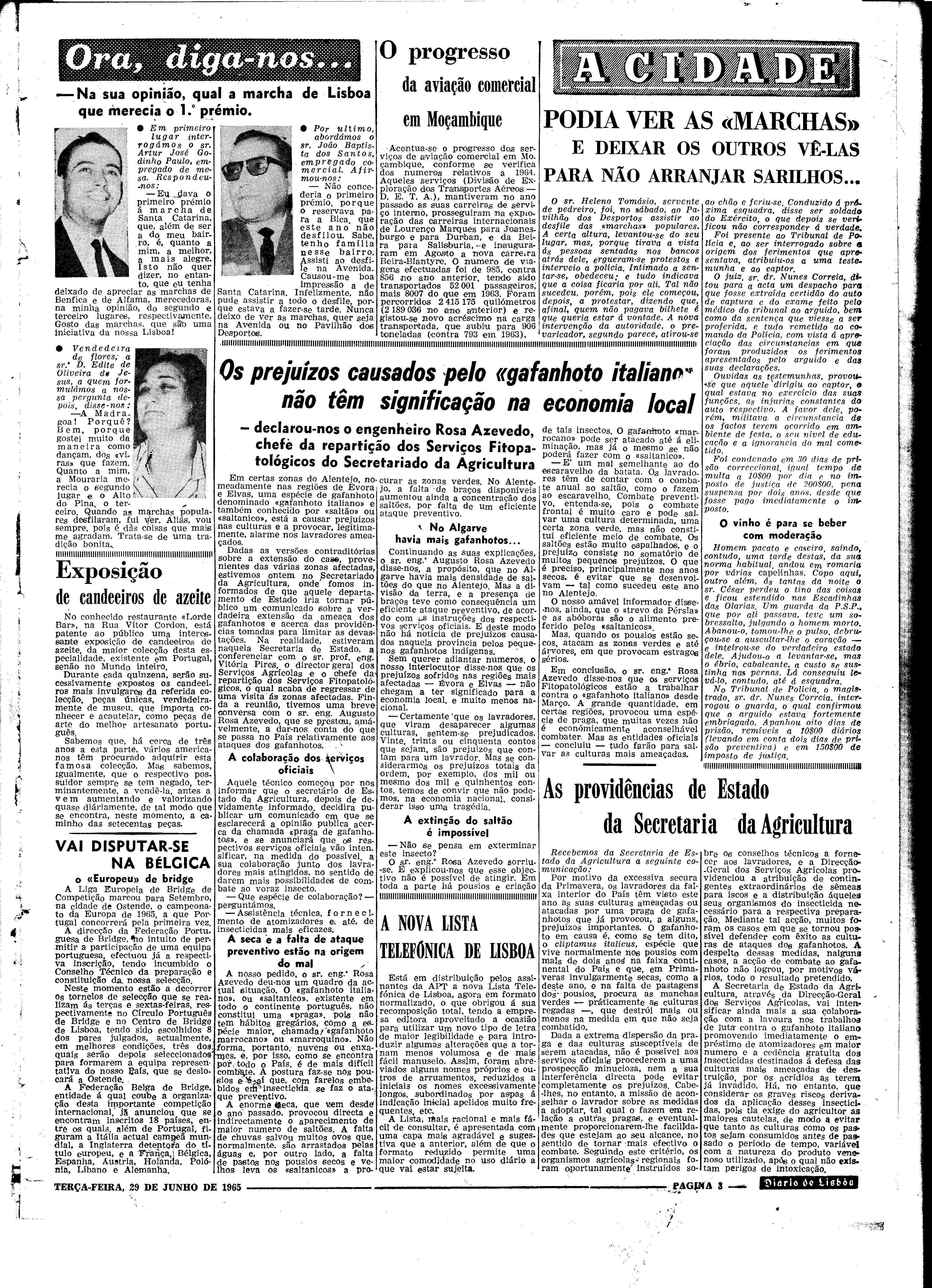 06560.098.19661- pag.3
