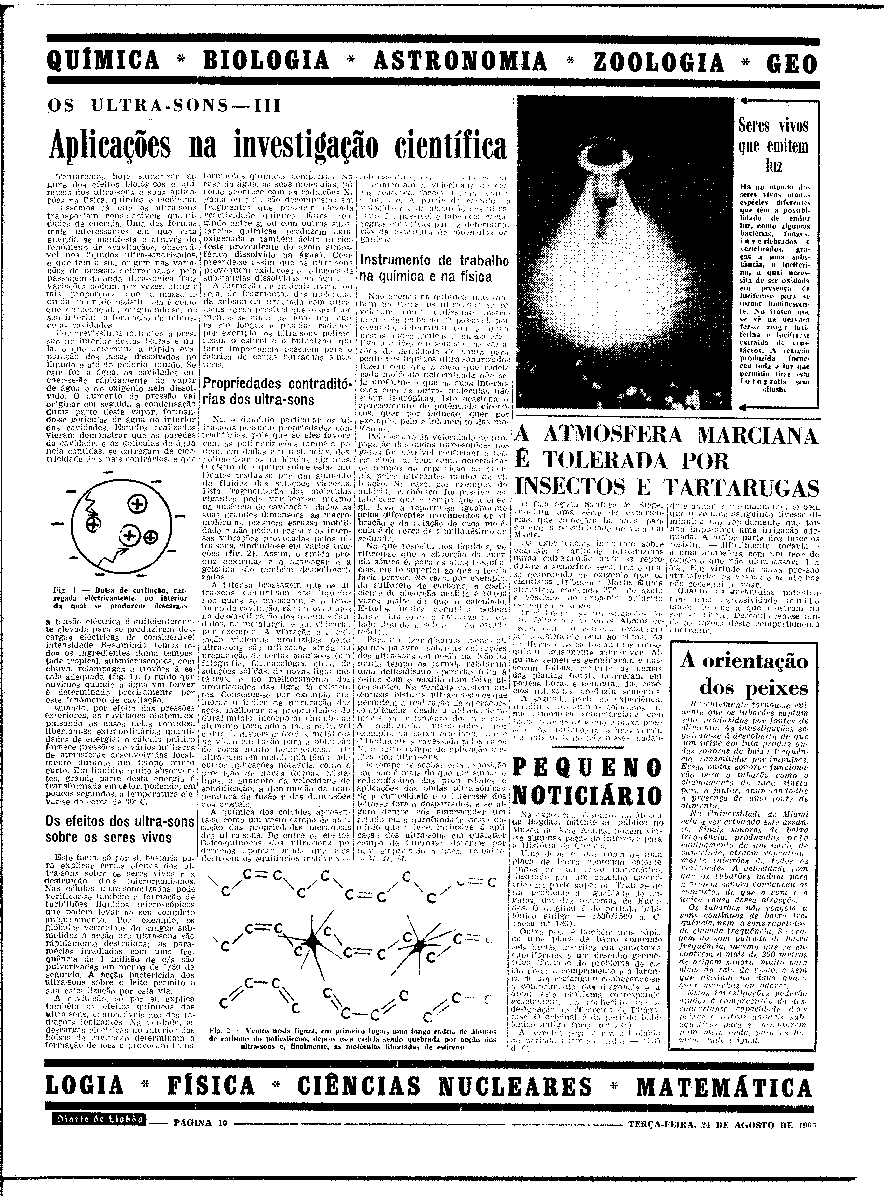 06562.100.19787- pag.10
