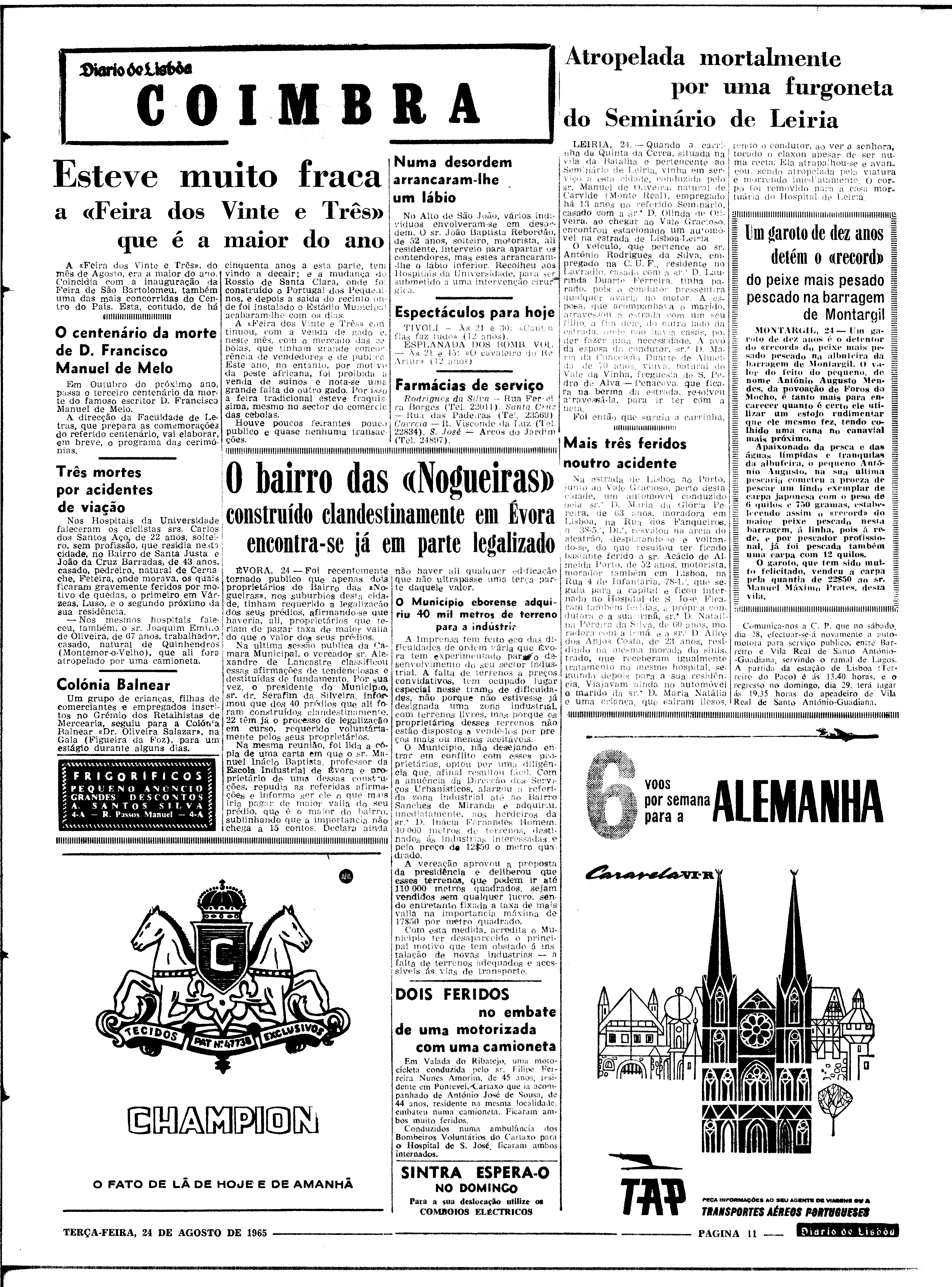 06562.100.19787- pag.11