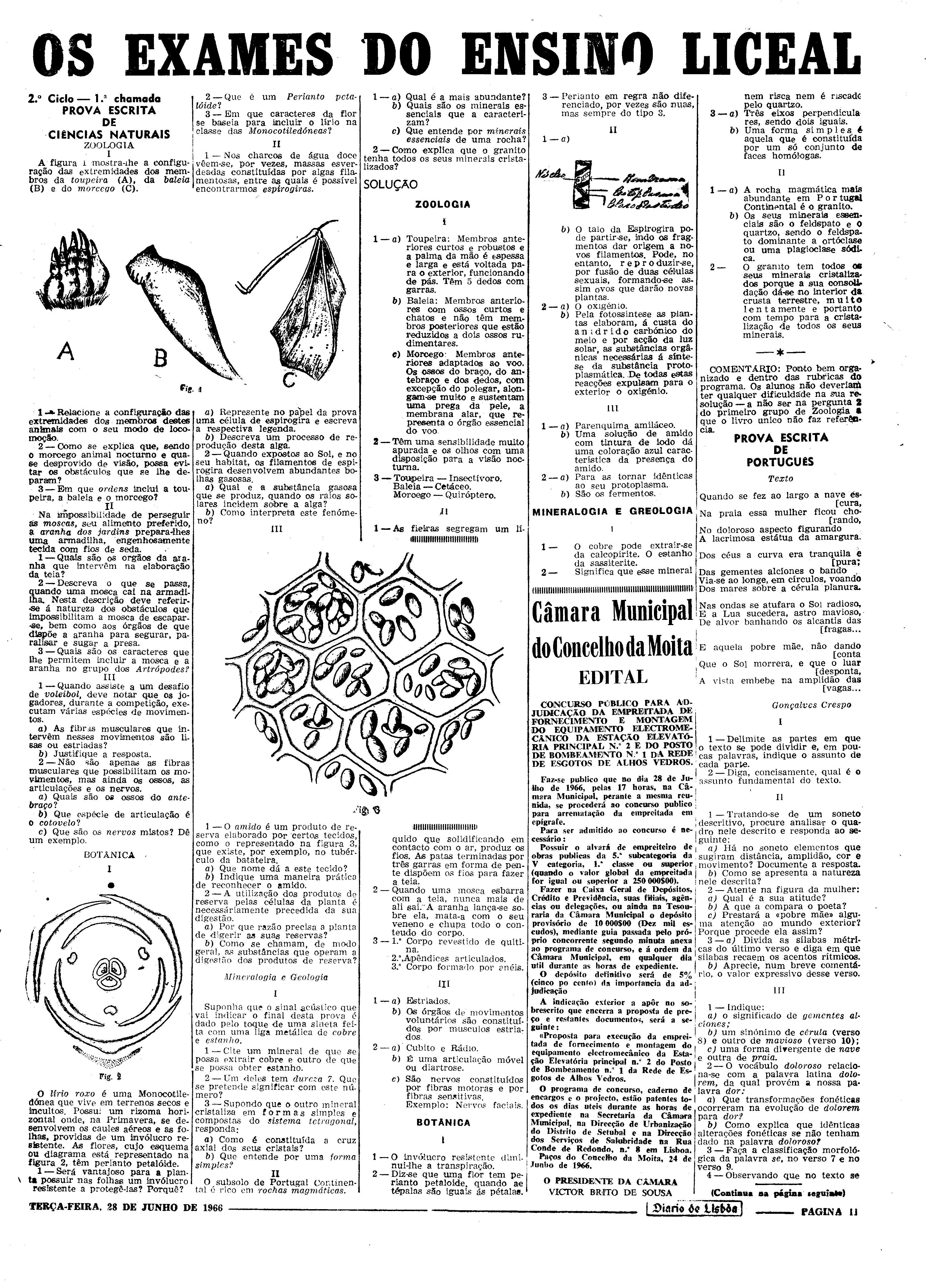 06569.107.20514- pag.11