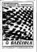 p. 43