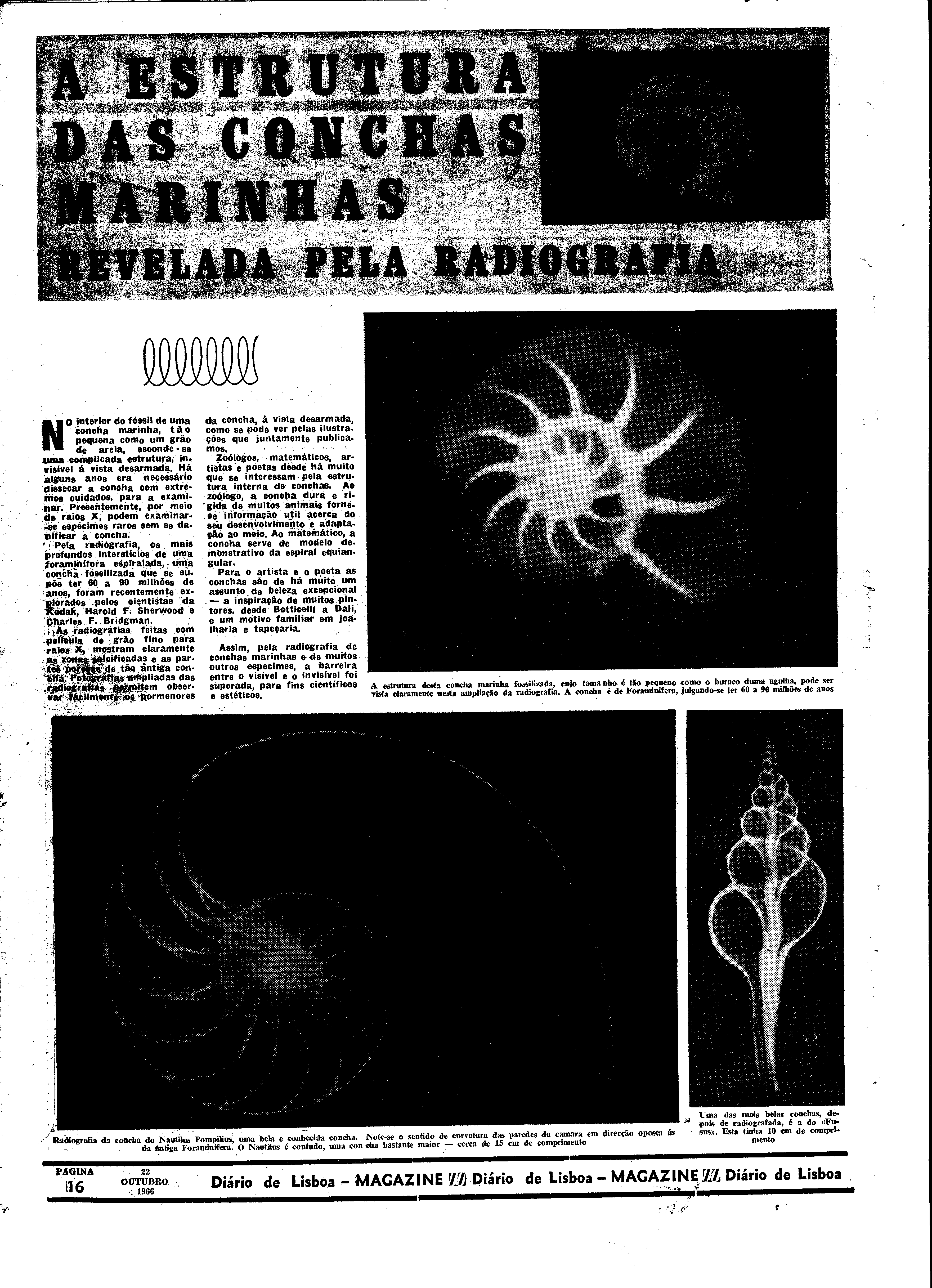 06572.110.20782- pag.36