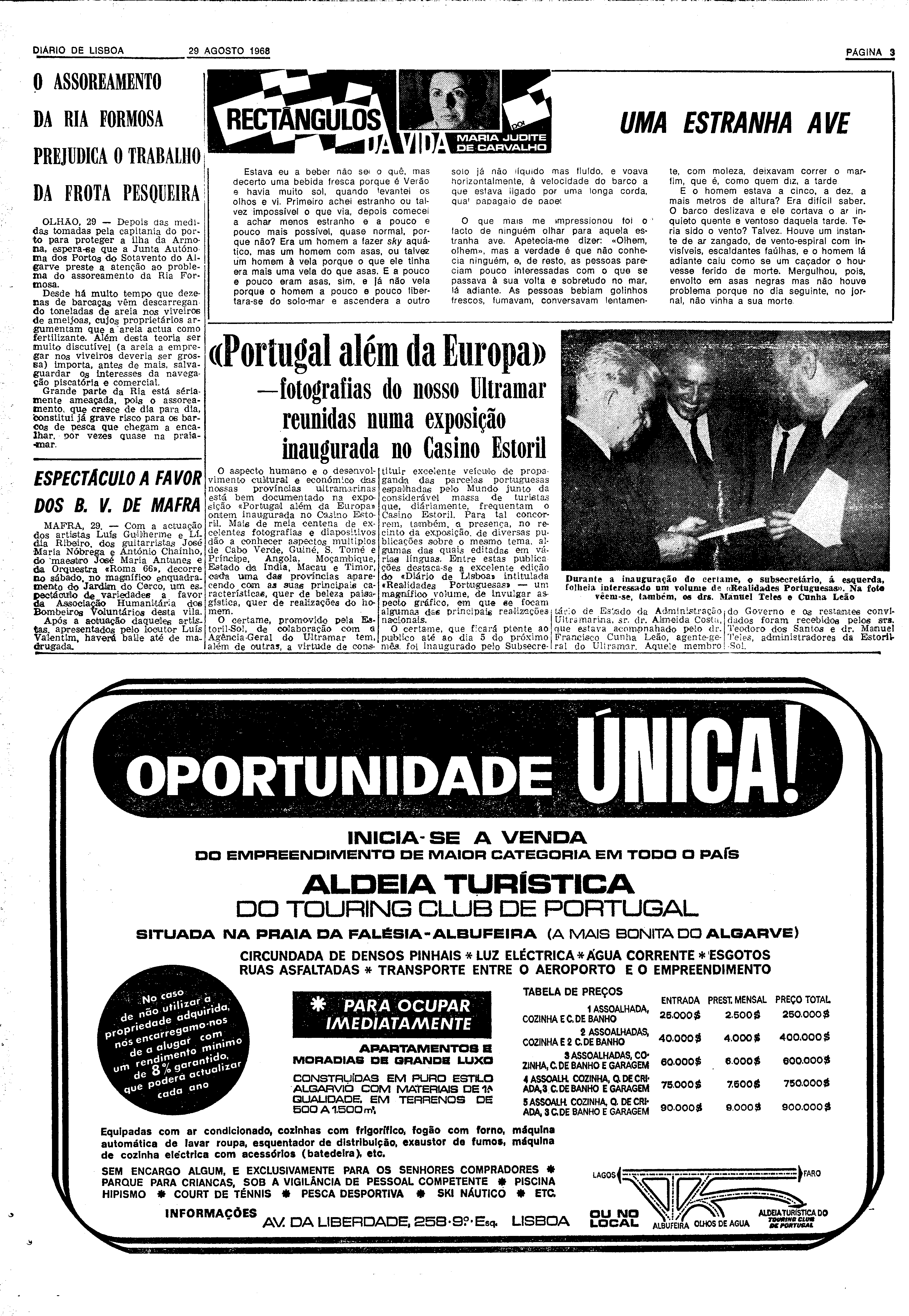 06591.129.22666- pag.3