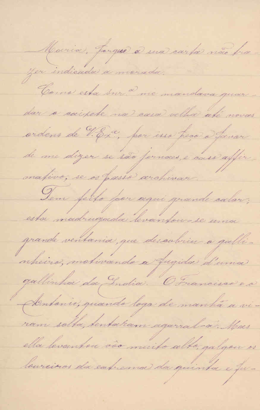 06709.142- pag.2