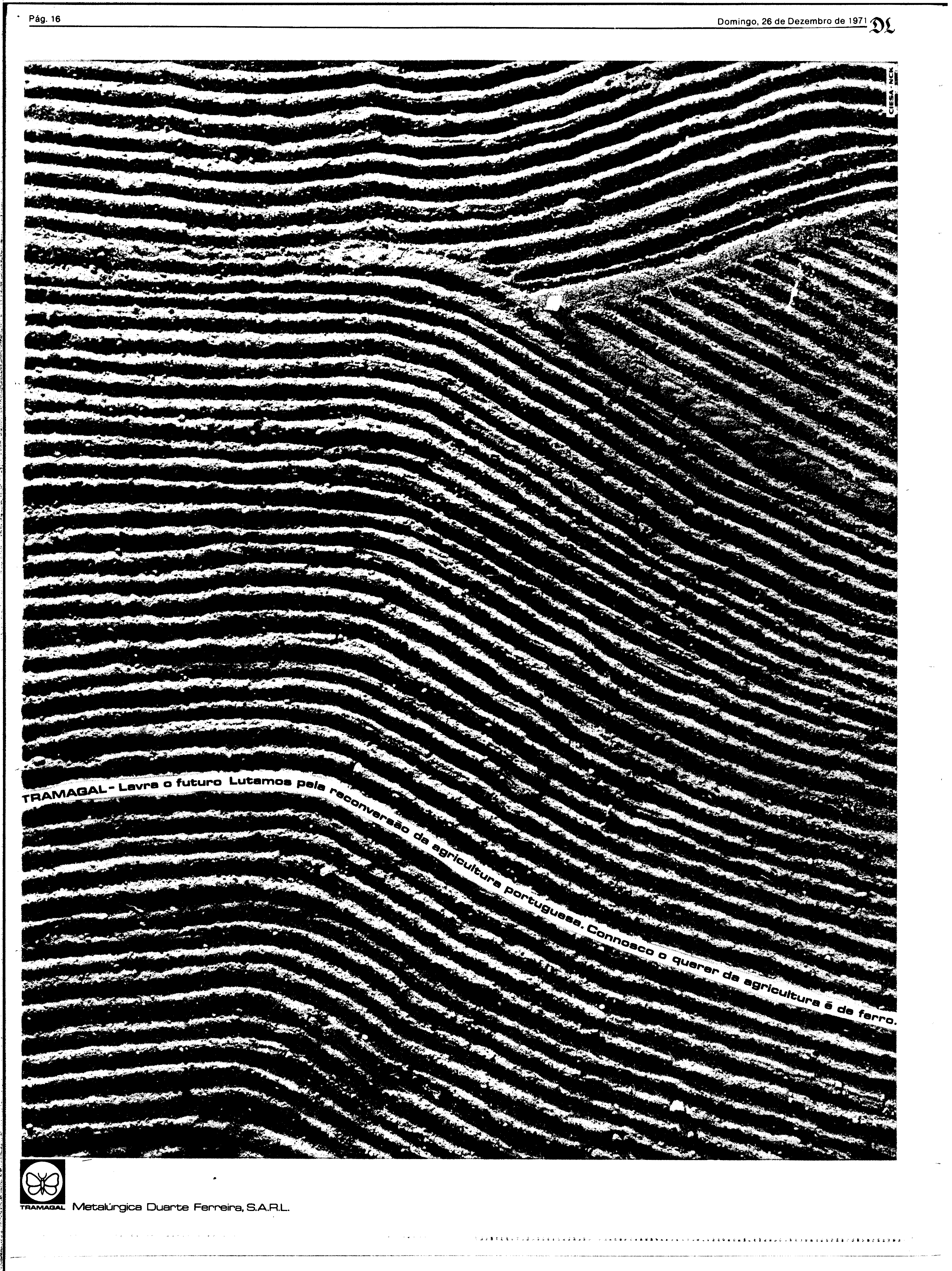 06813.163.25853- pag.16