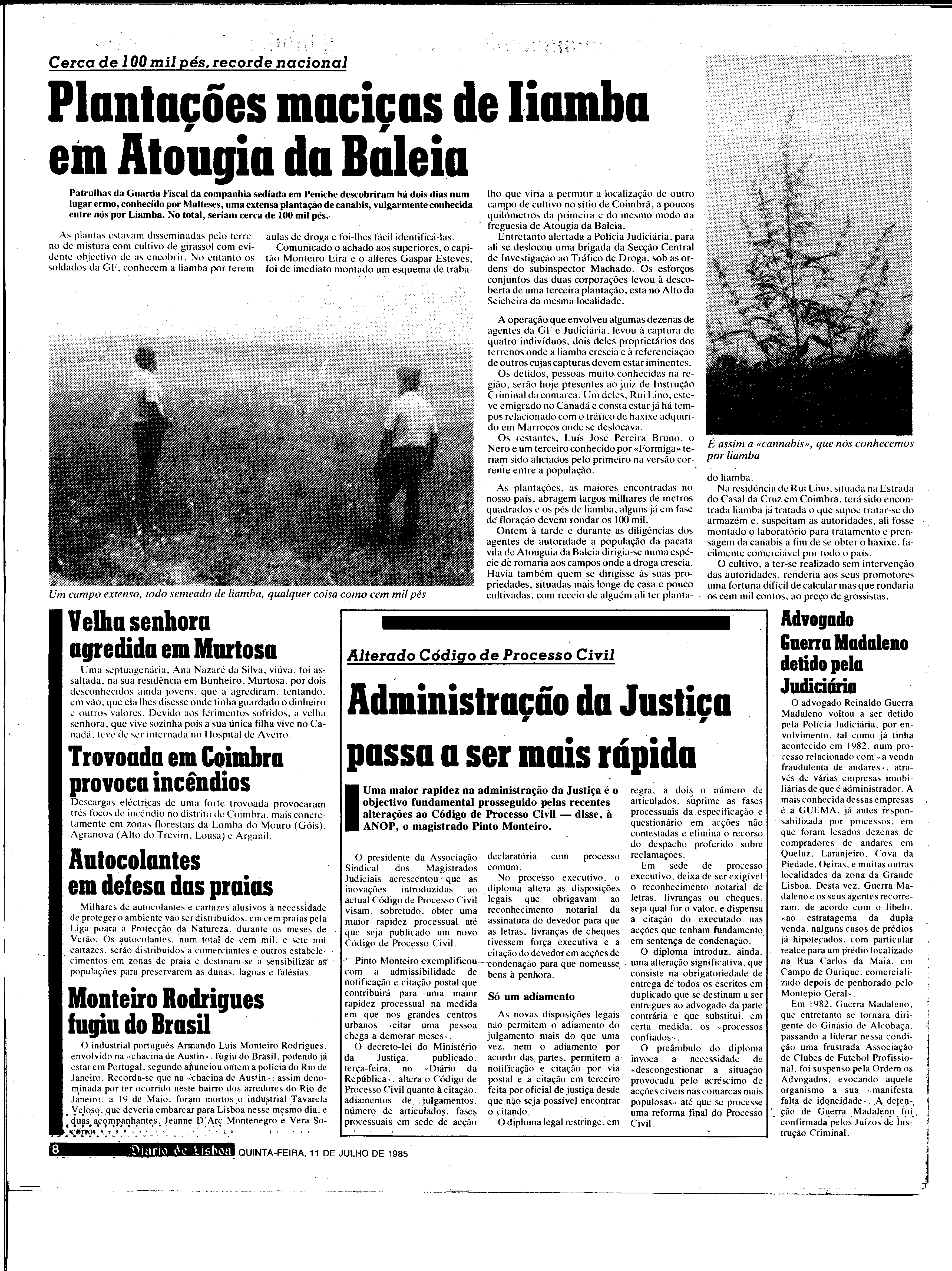 06845.195.30288- pag.8