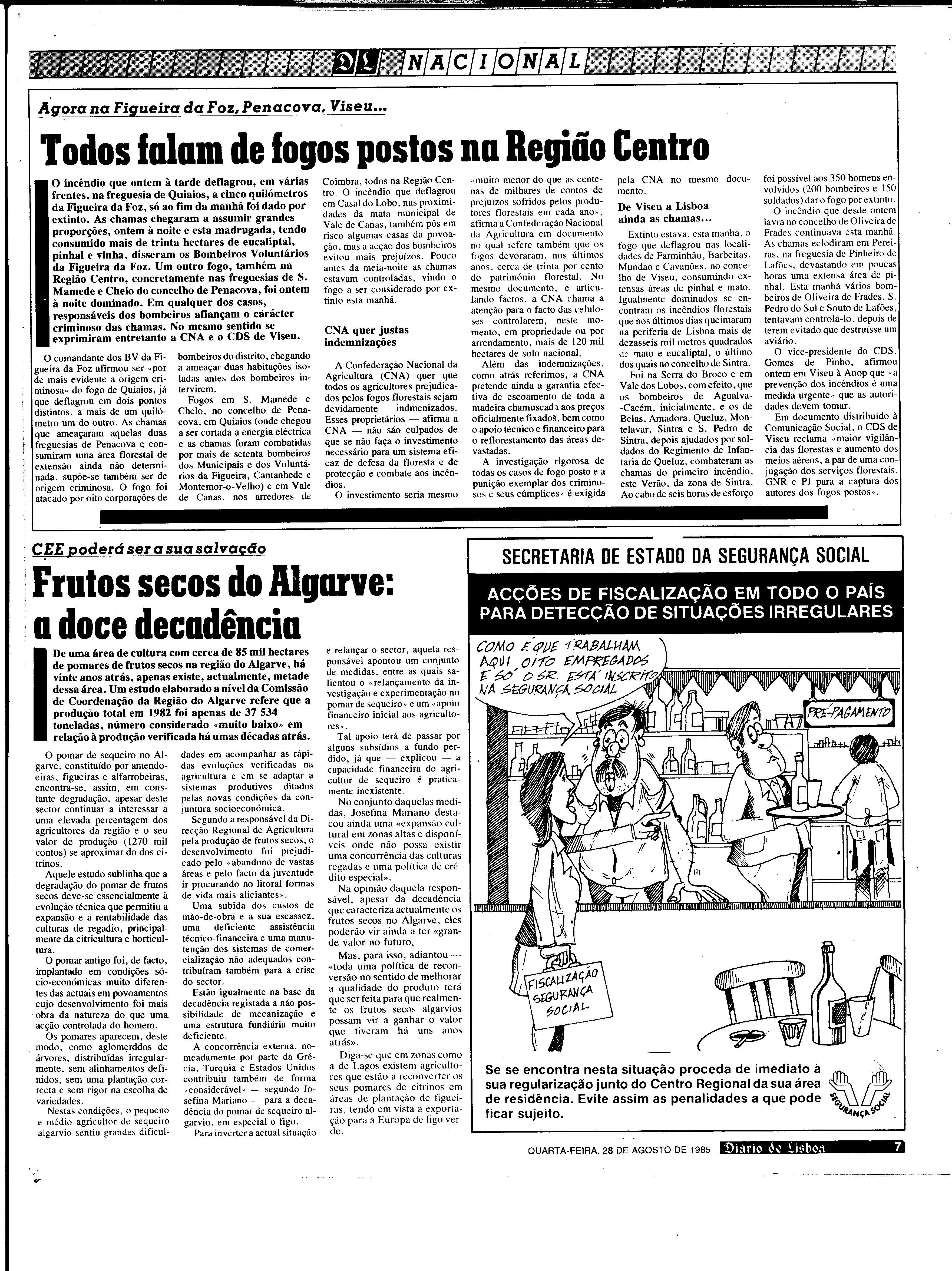 06845.195.30328- pag.7