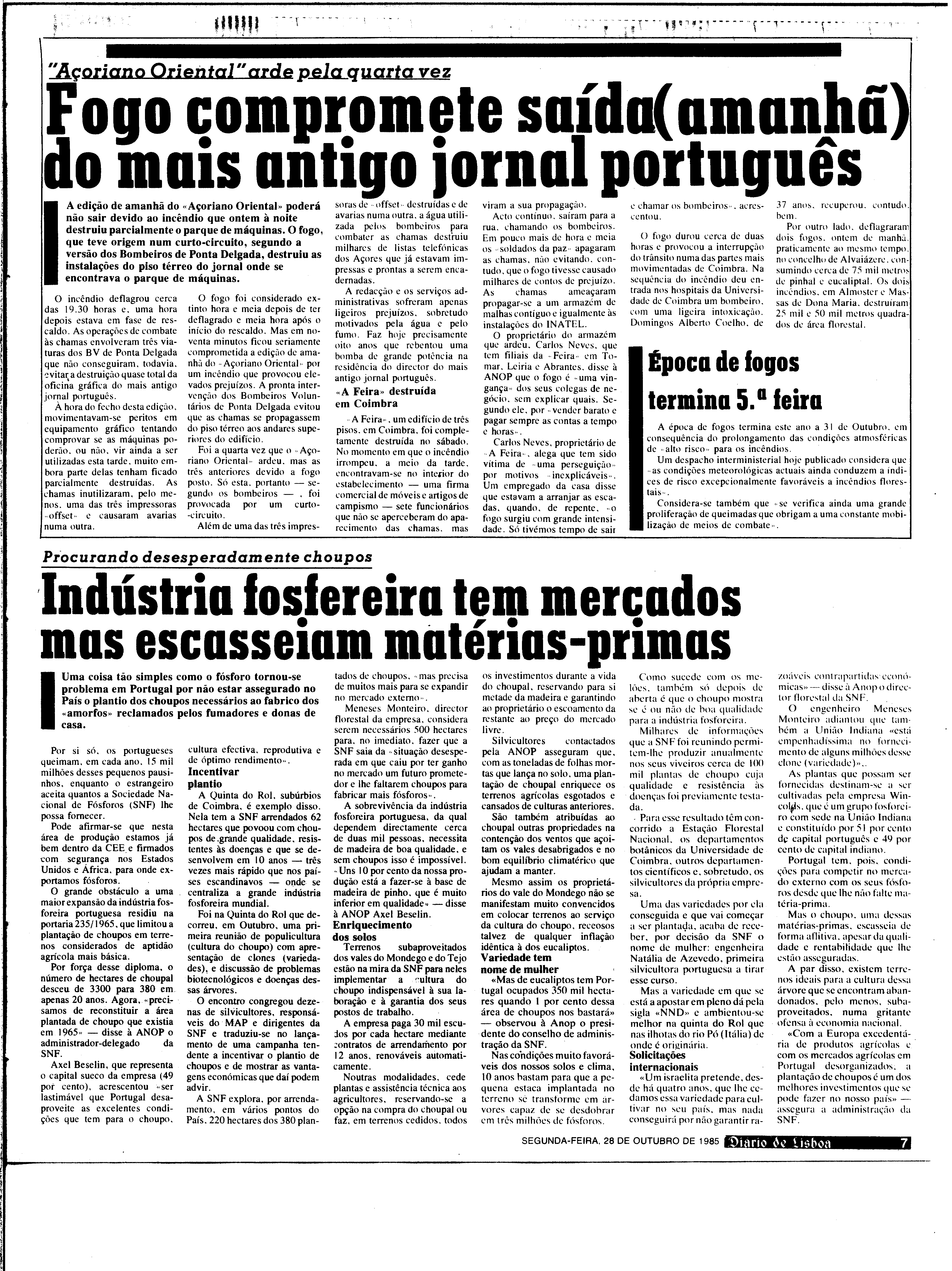 06879.196.30379- pag.7