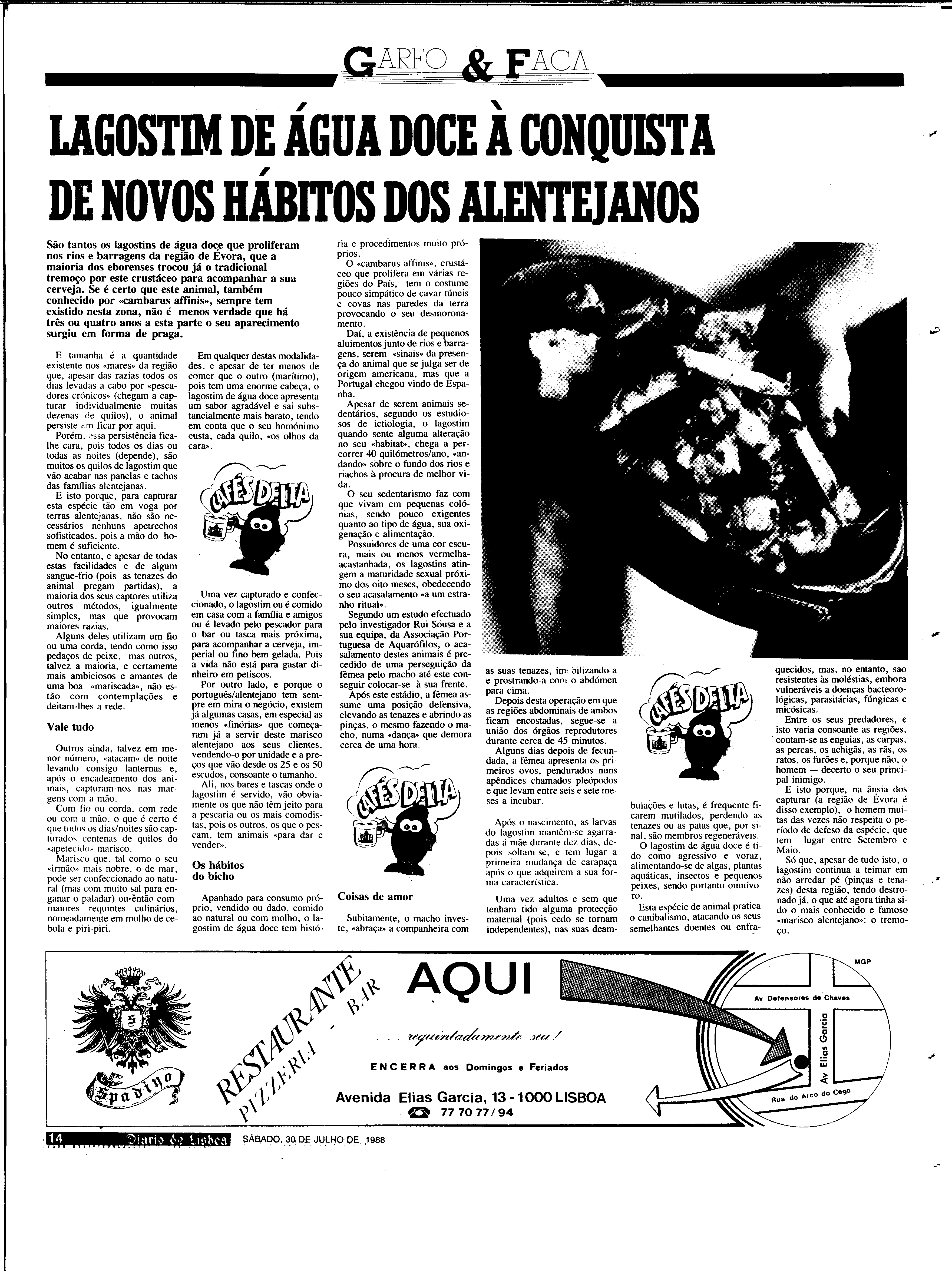 06886.203.31210- pag.14