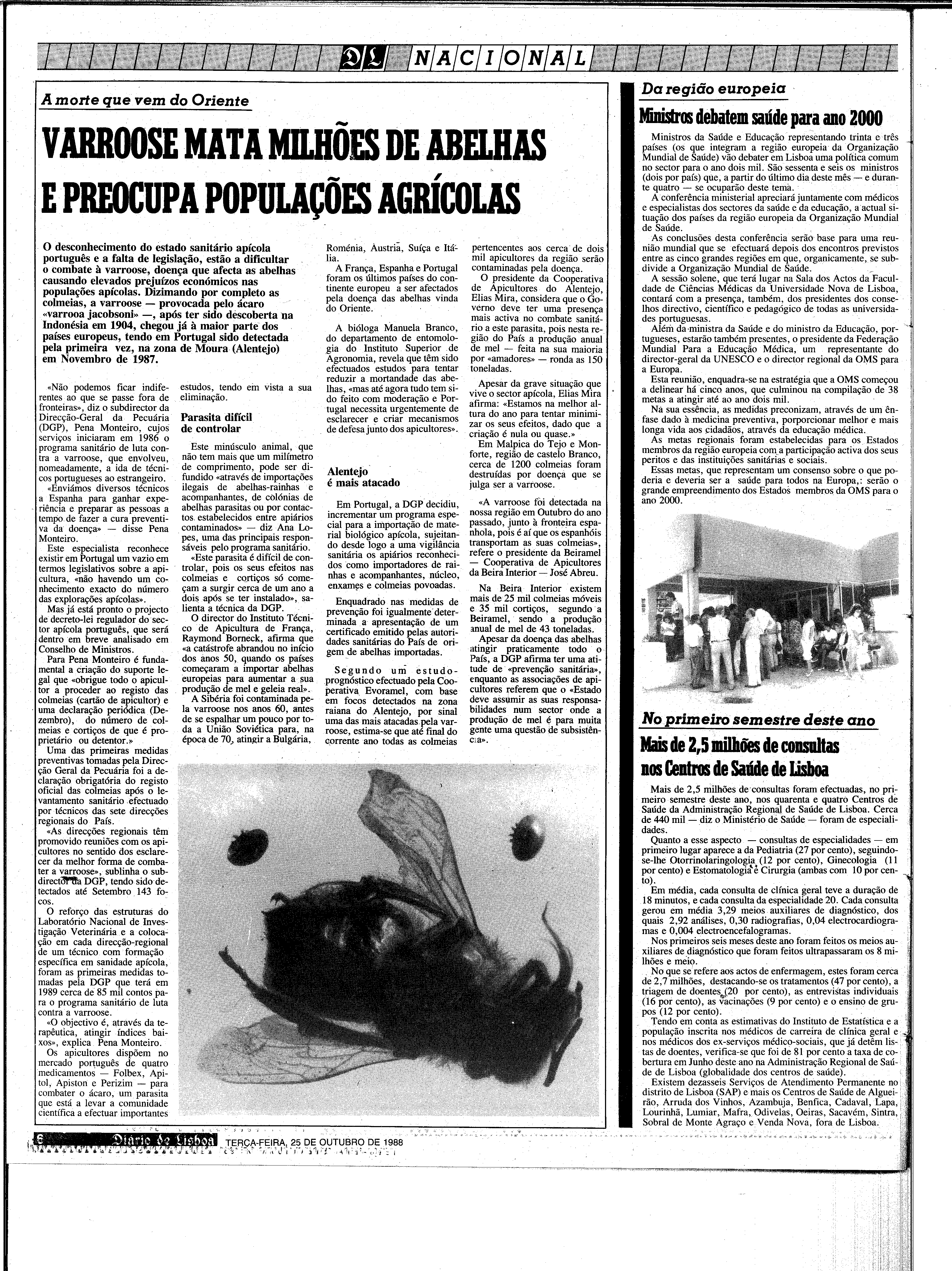 06887.204.31283- pag.6